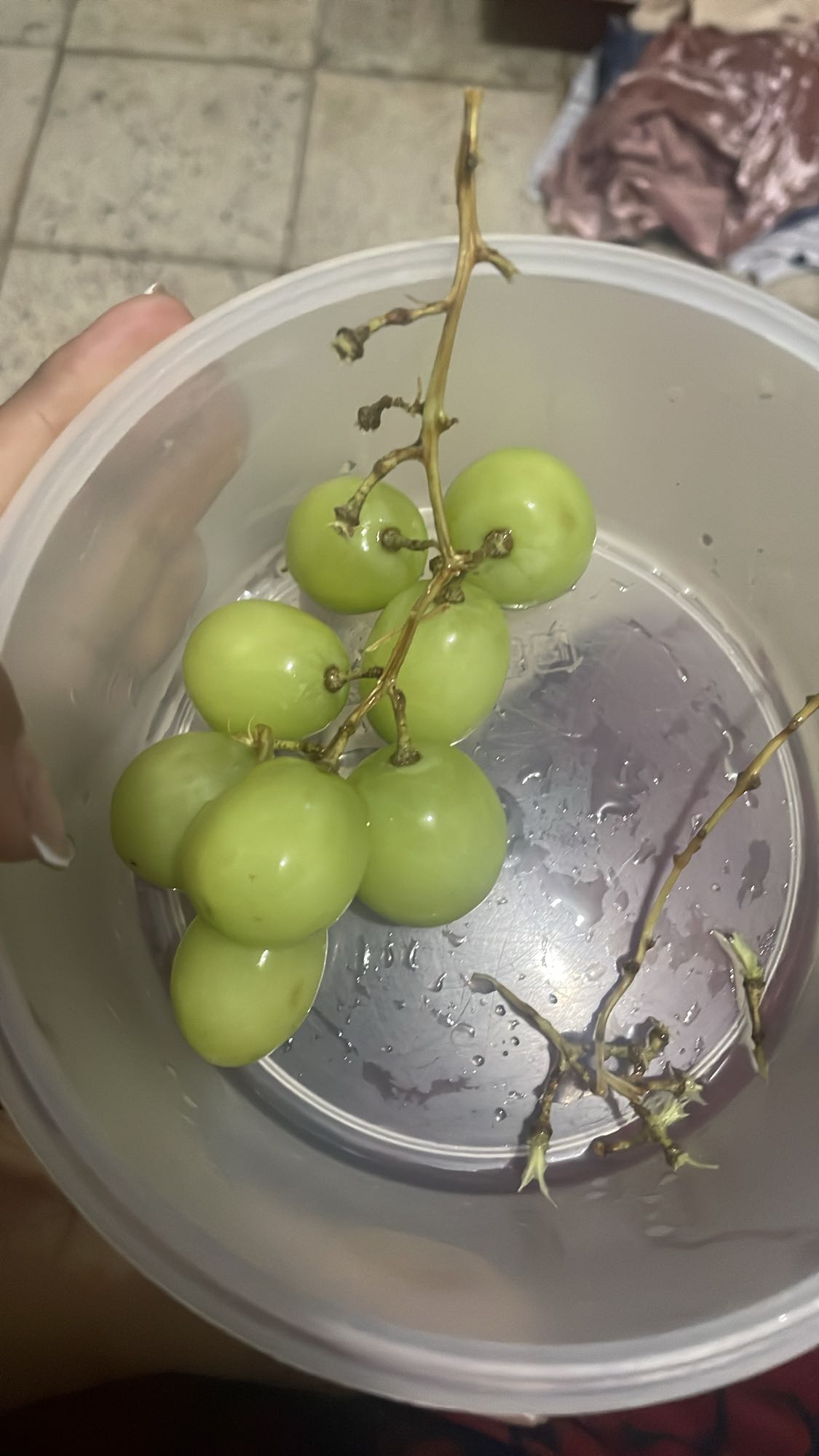 uvas verdes frescas