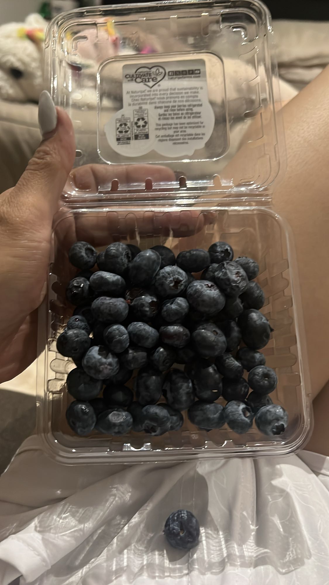 Fresh Blueberries