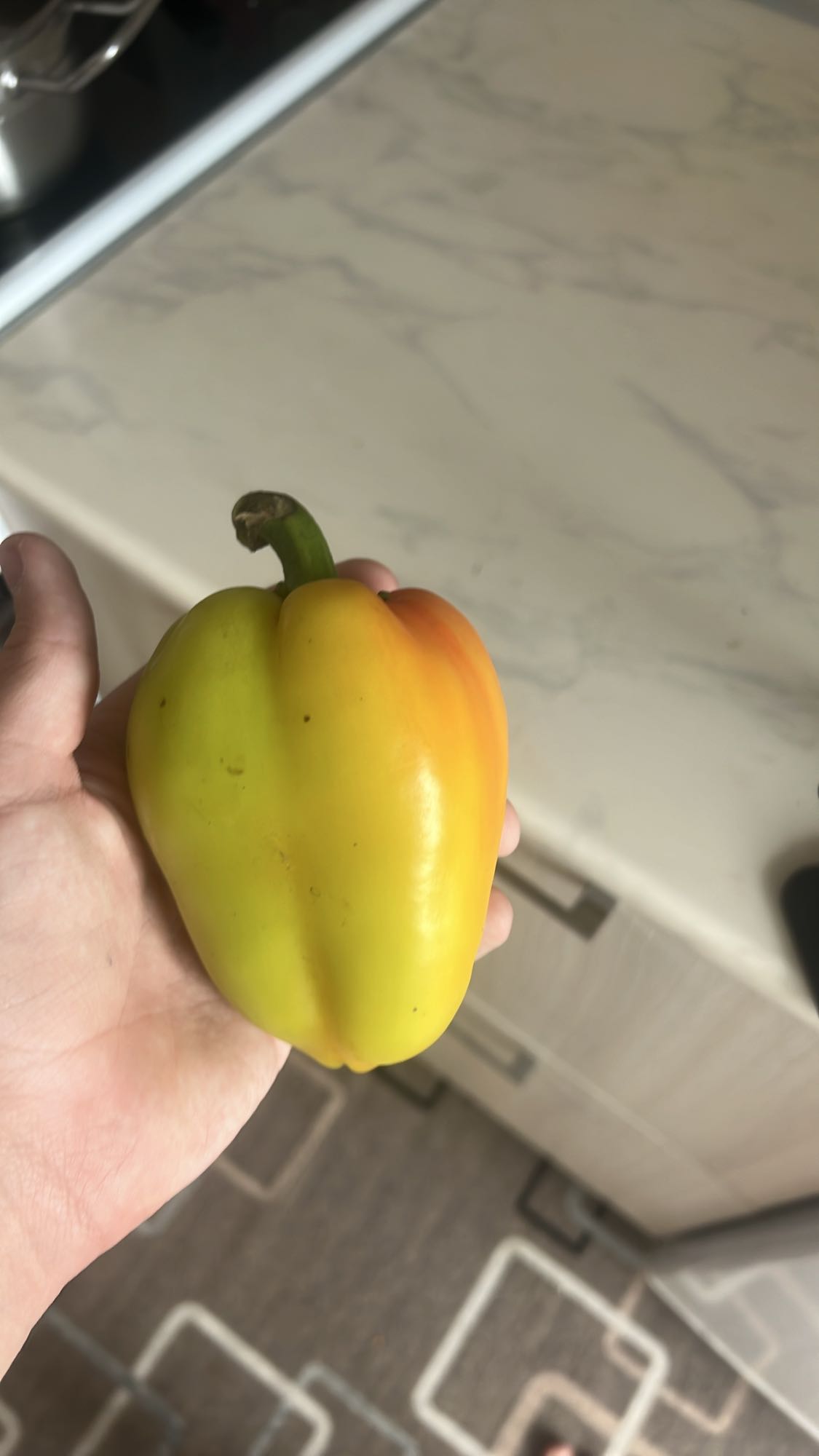 сладкий перец