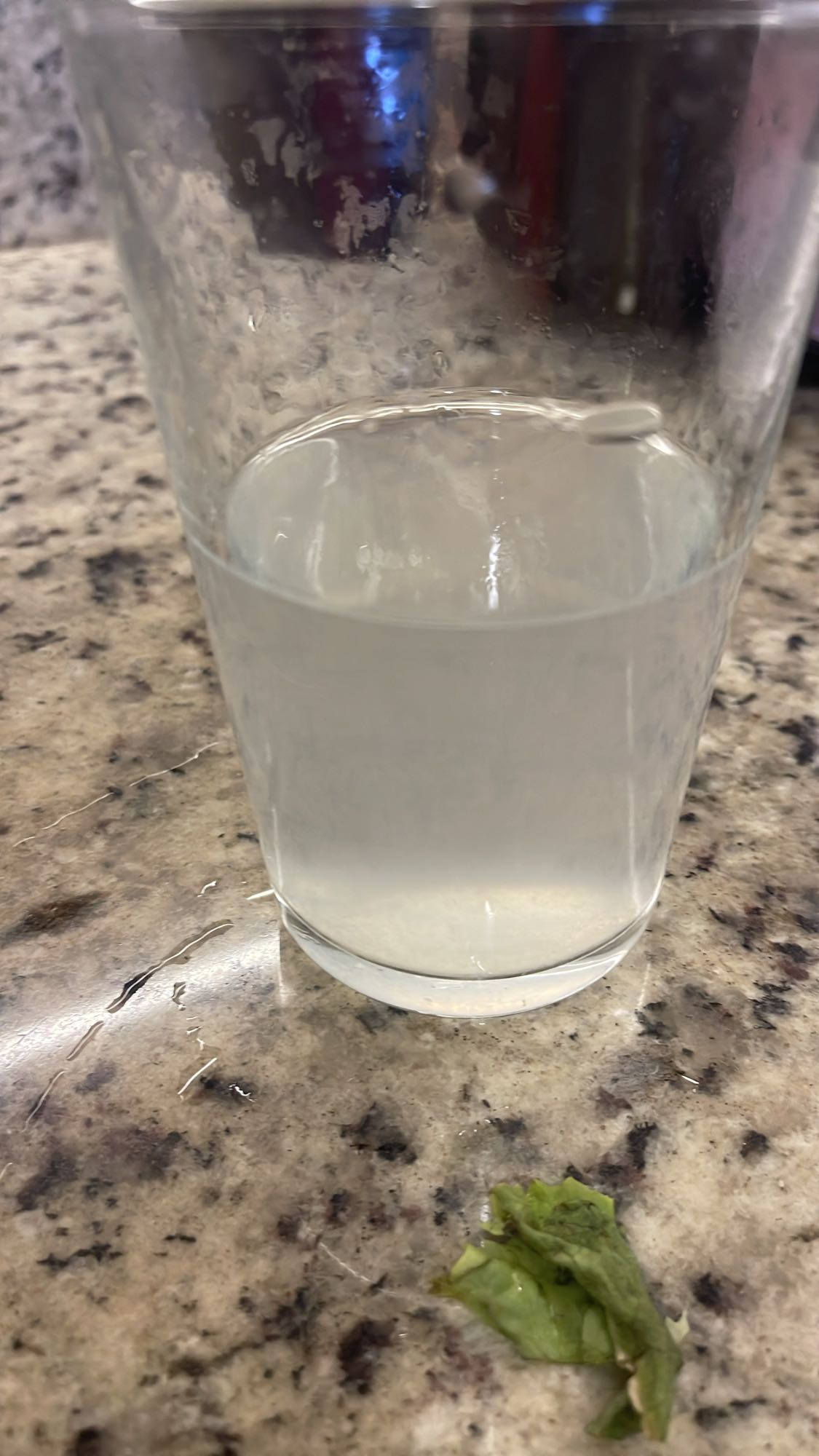 vaso de agua con lechuga