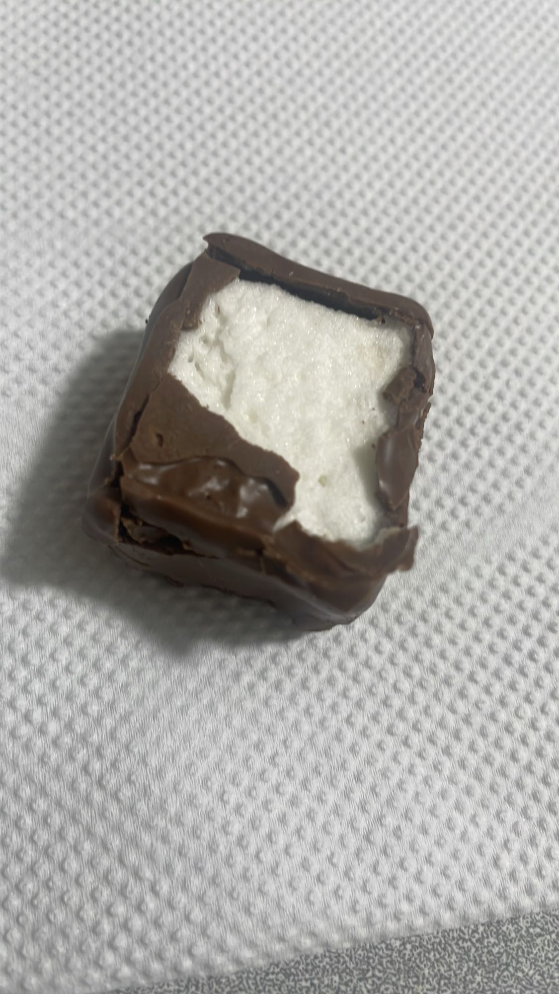 chocolate covered marshmallow