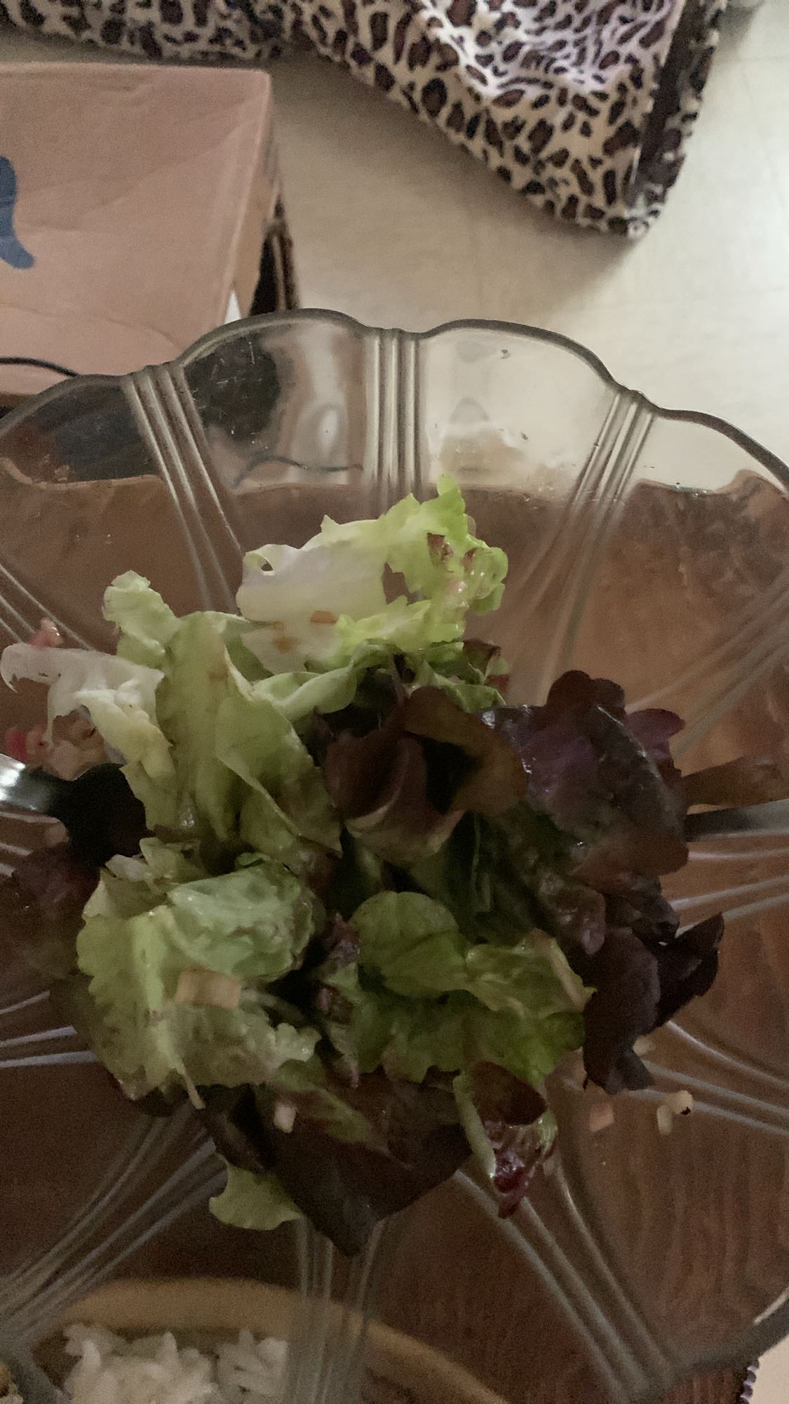 Salade verte simple