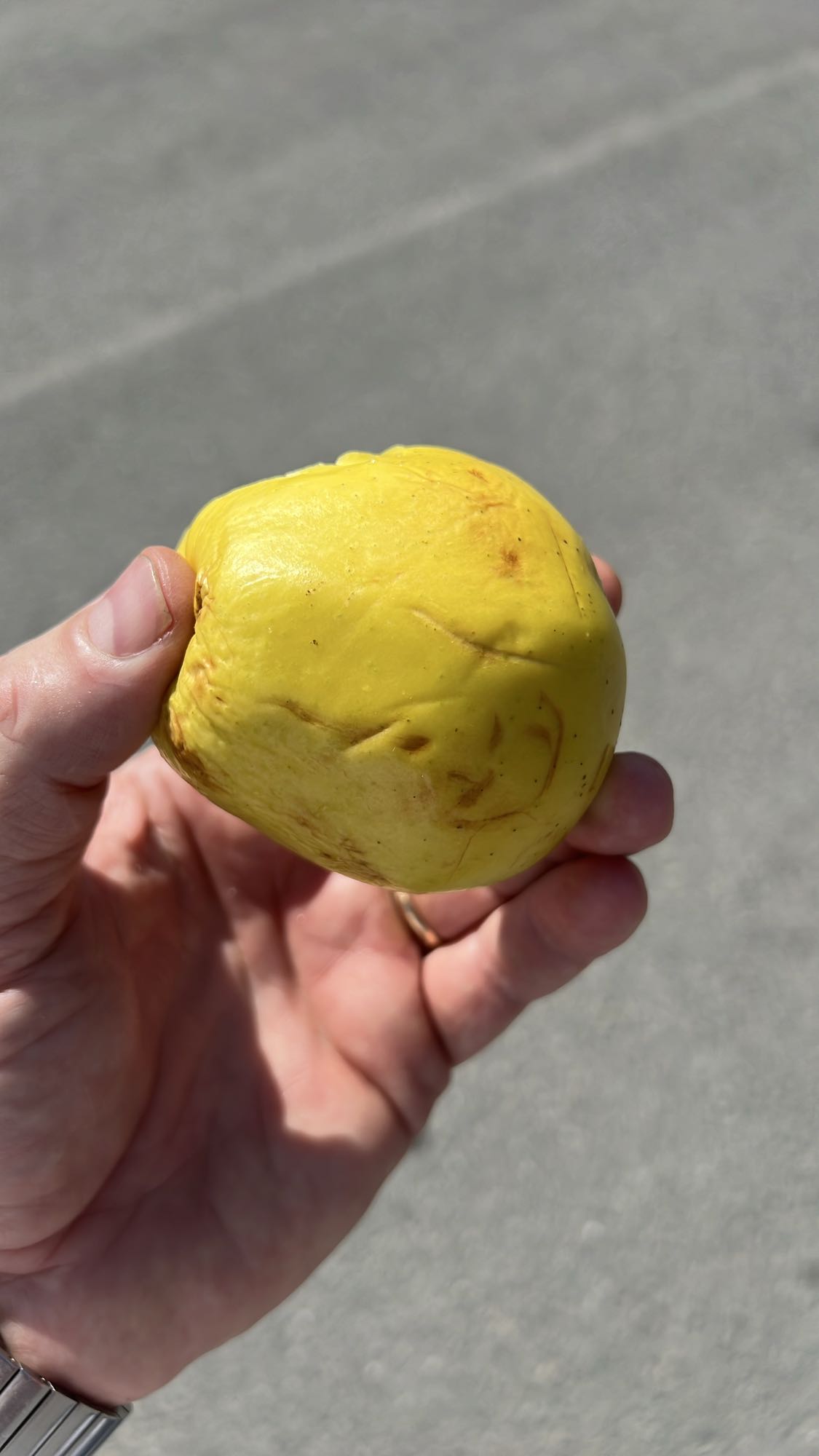 Fruct guava galbenă