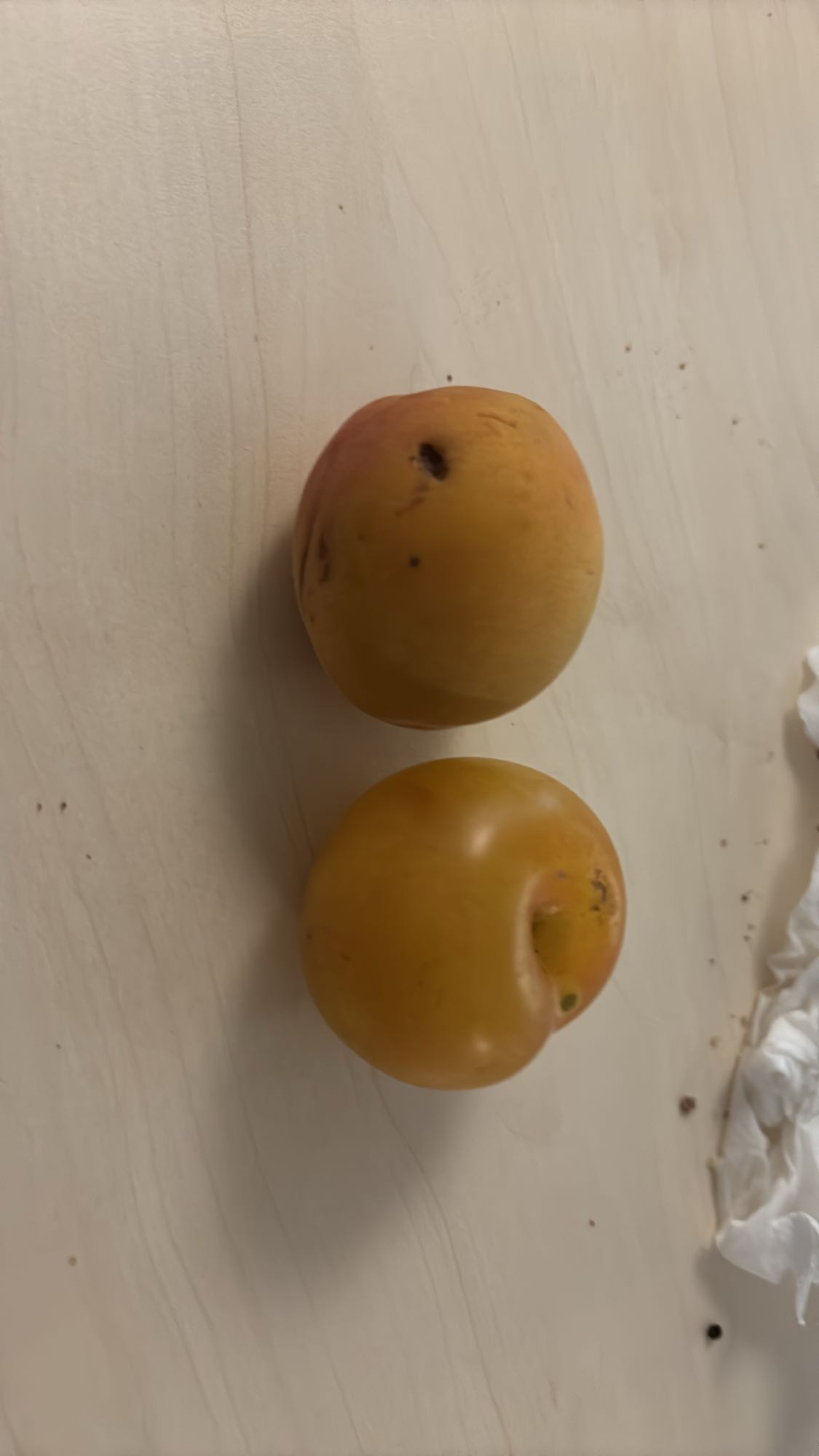 Deux prunes jaunes