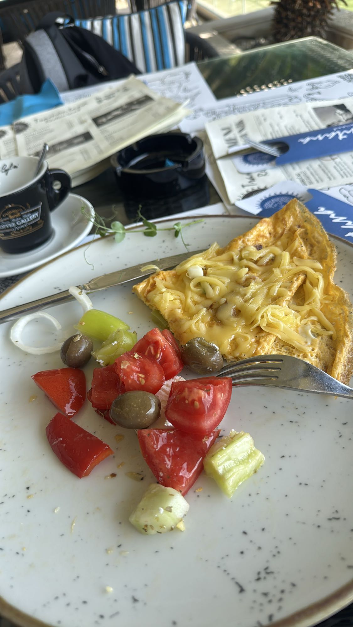 Cheese Omelette & Salad