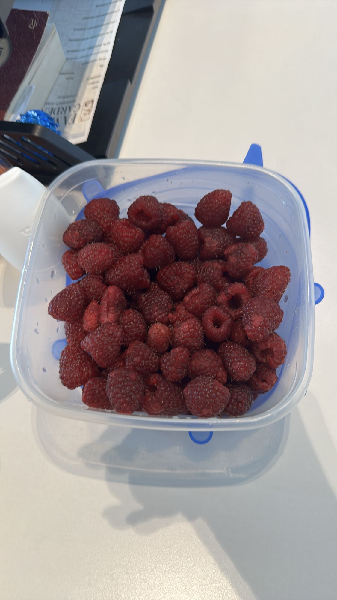 малина в контейнере