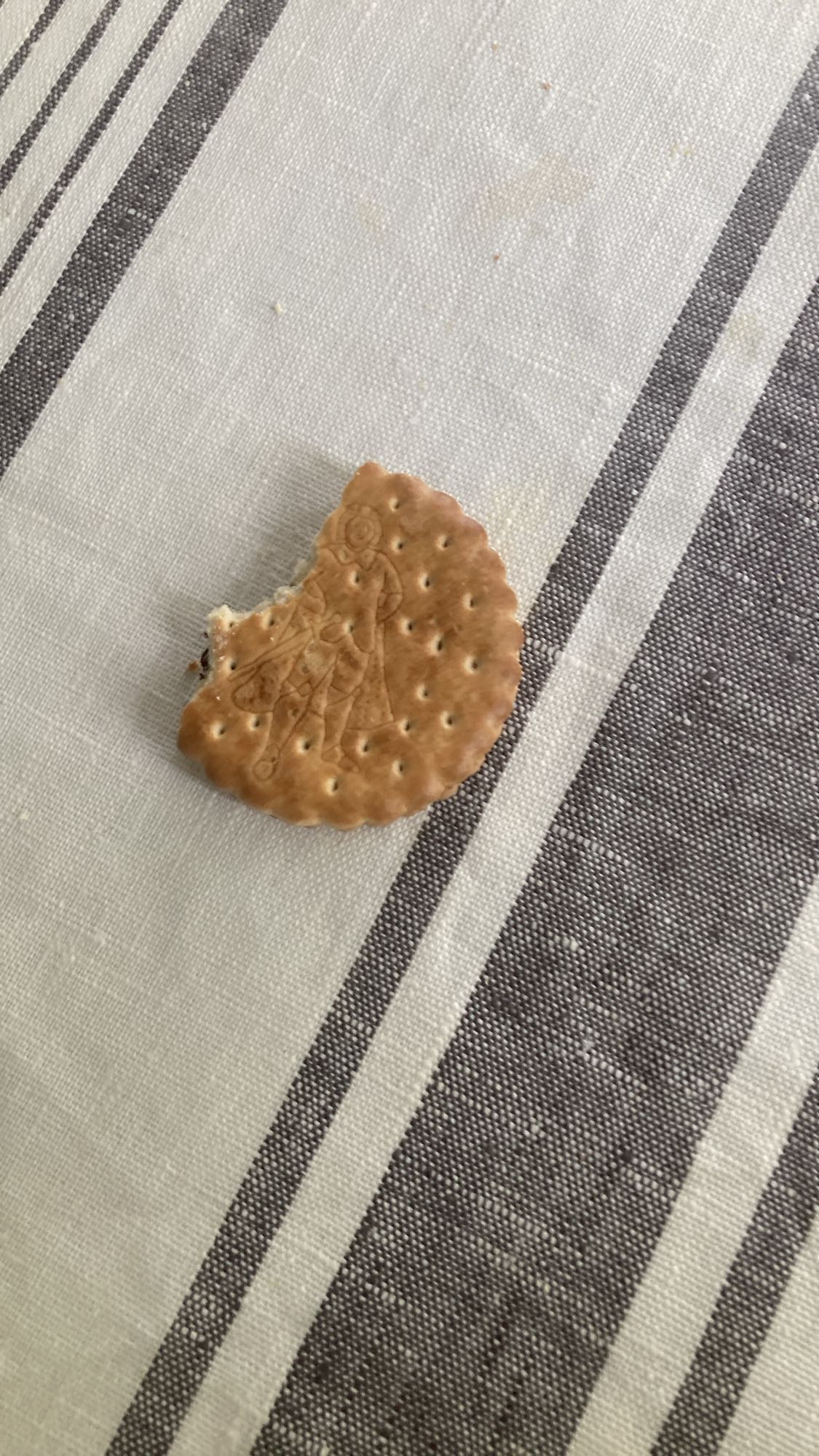 Biscuit nature croqué