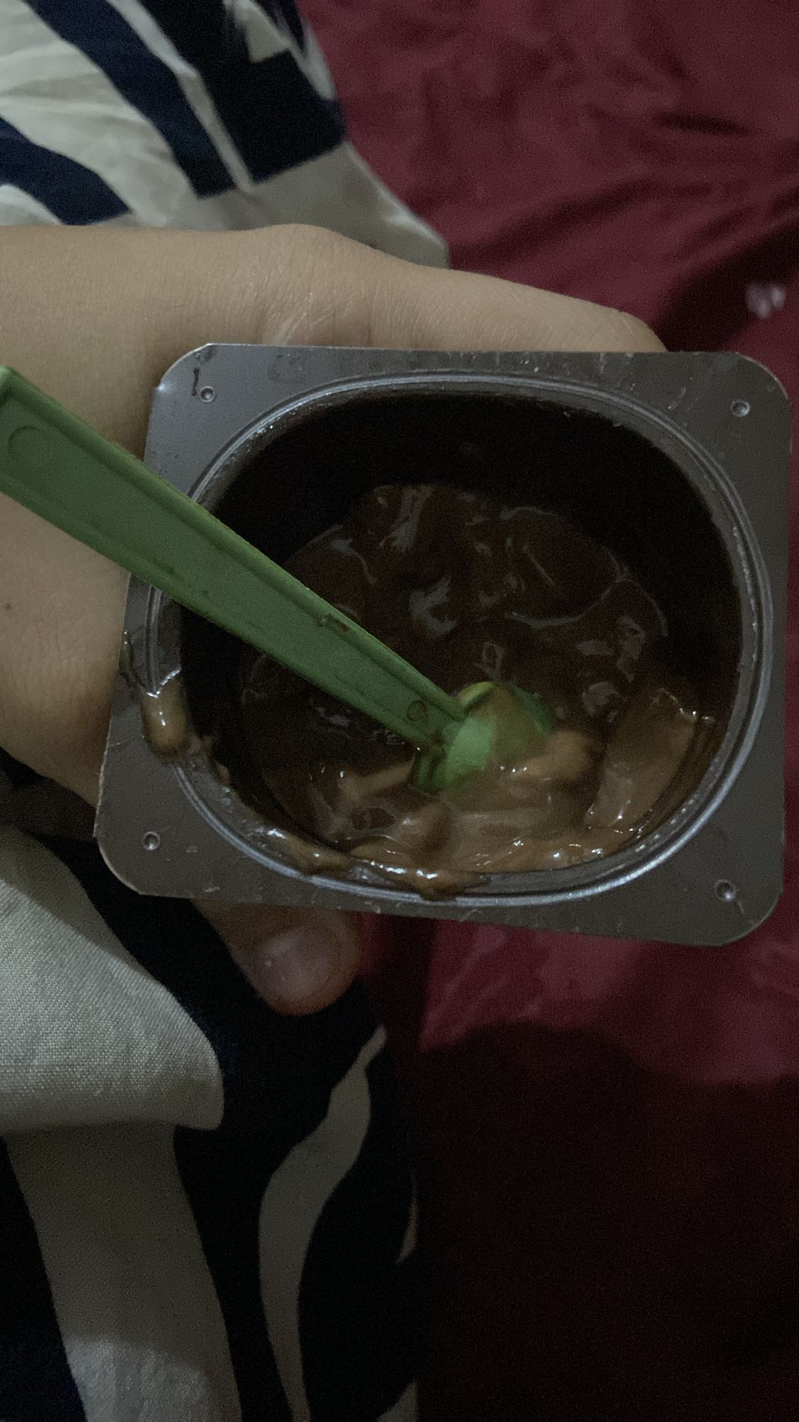 crème dessert chocolat