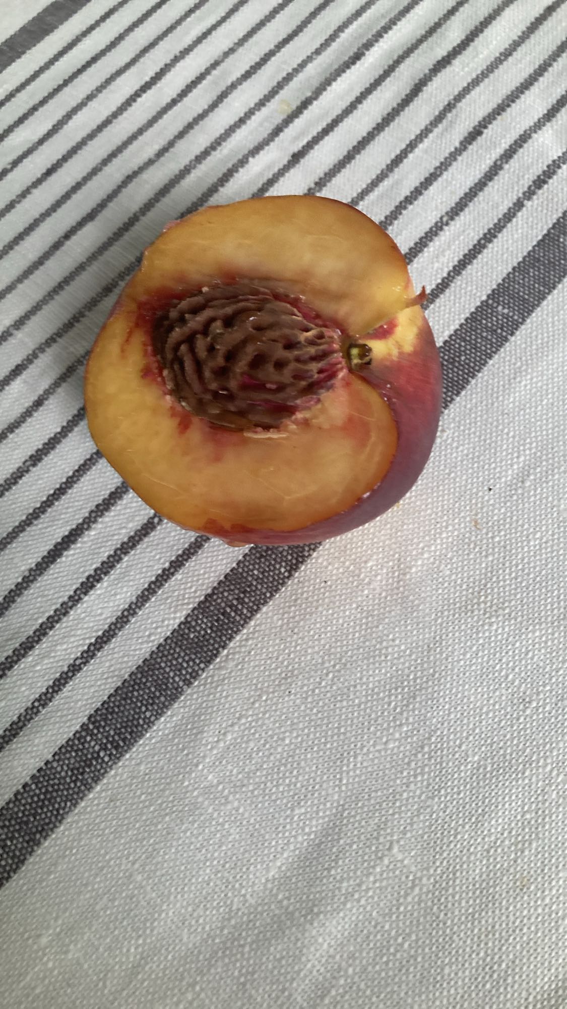 Demi-pêche fraîche