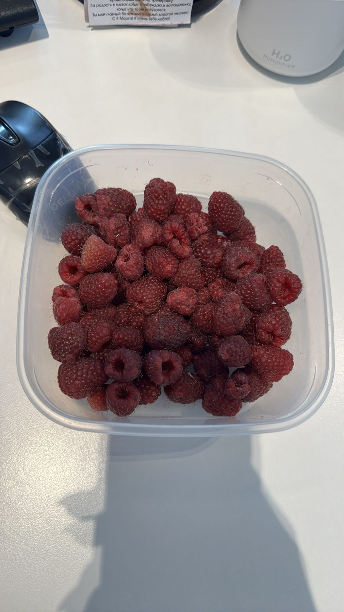 малина в контейнере