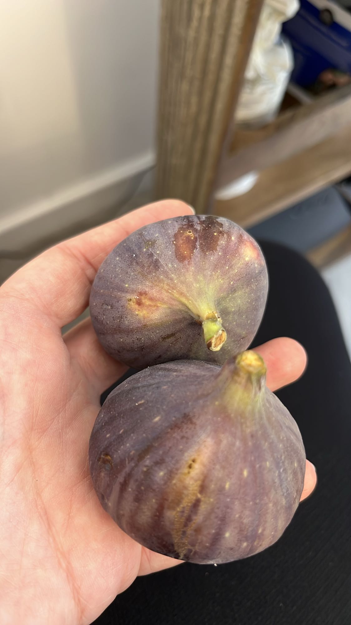 Fresh Figs Snack