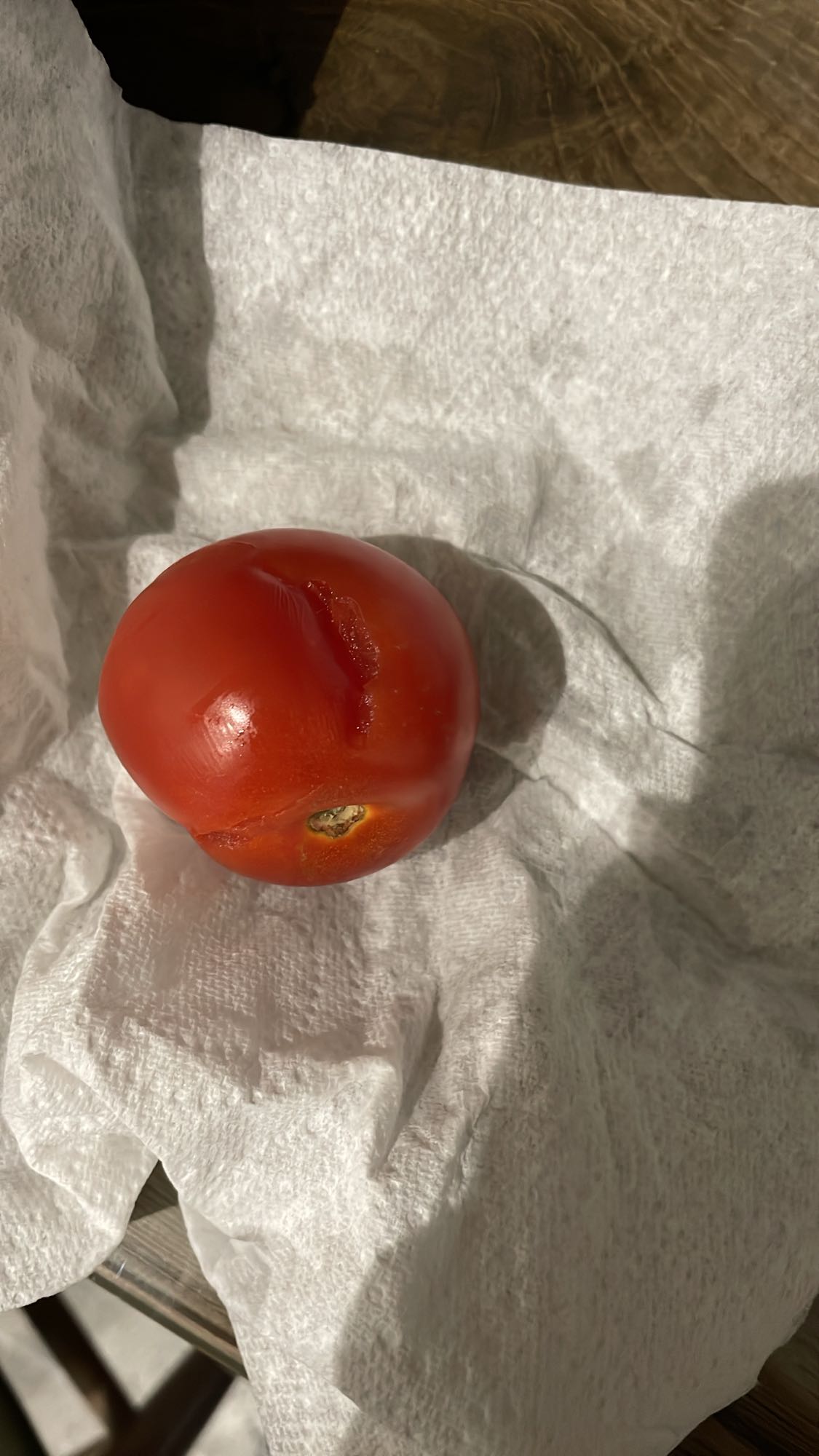 Whole tomato snack
