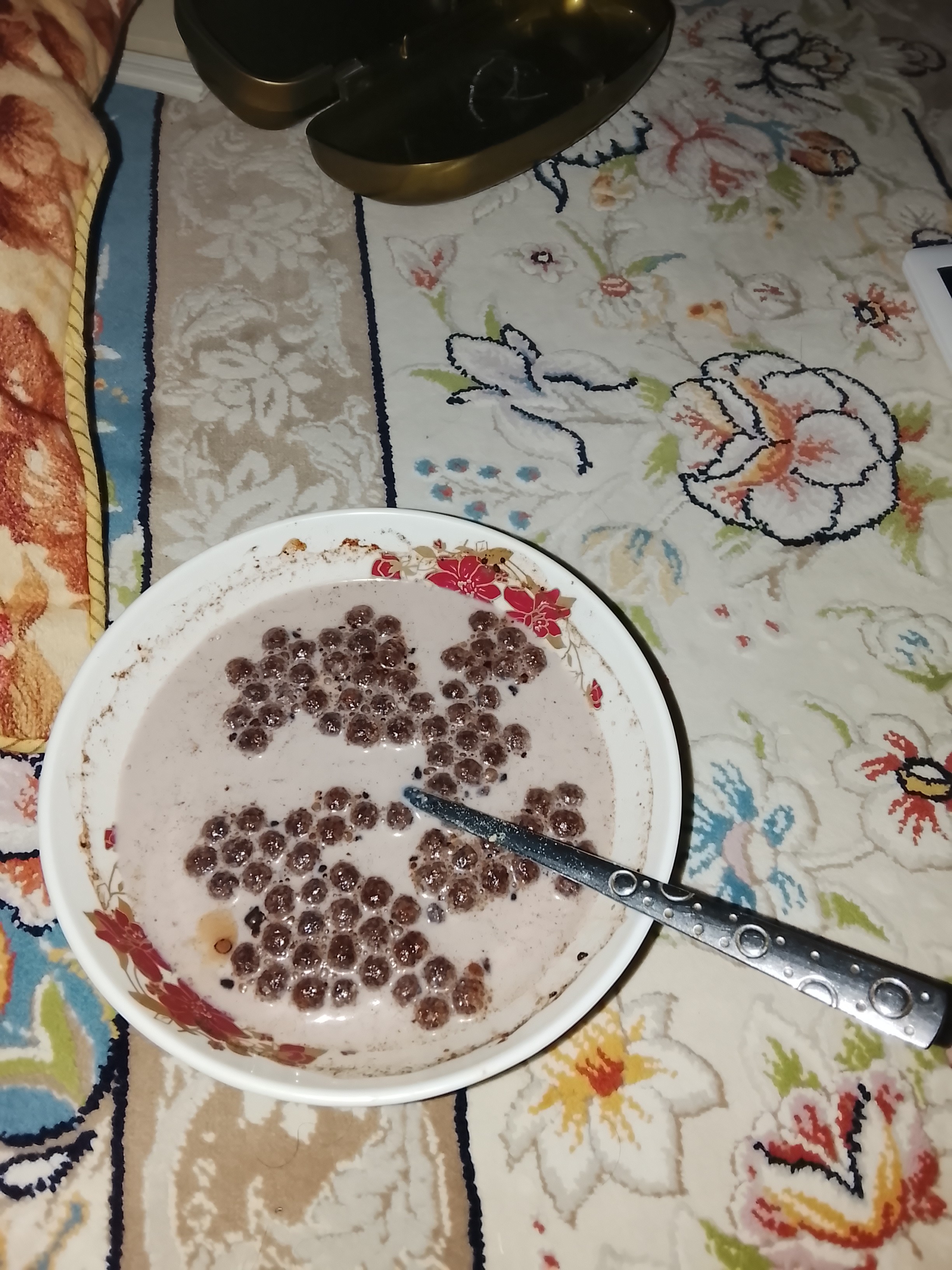 Chocolate cereal with milk