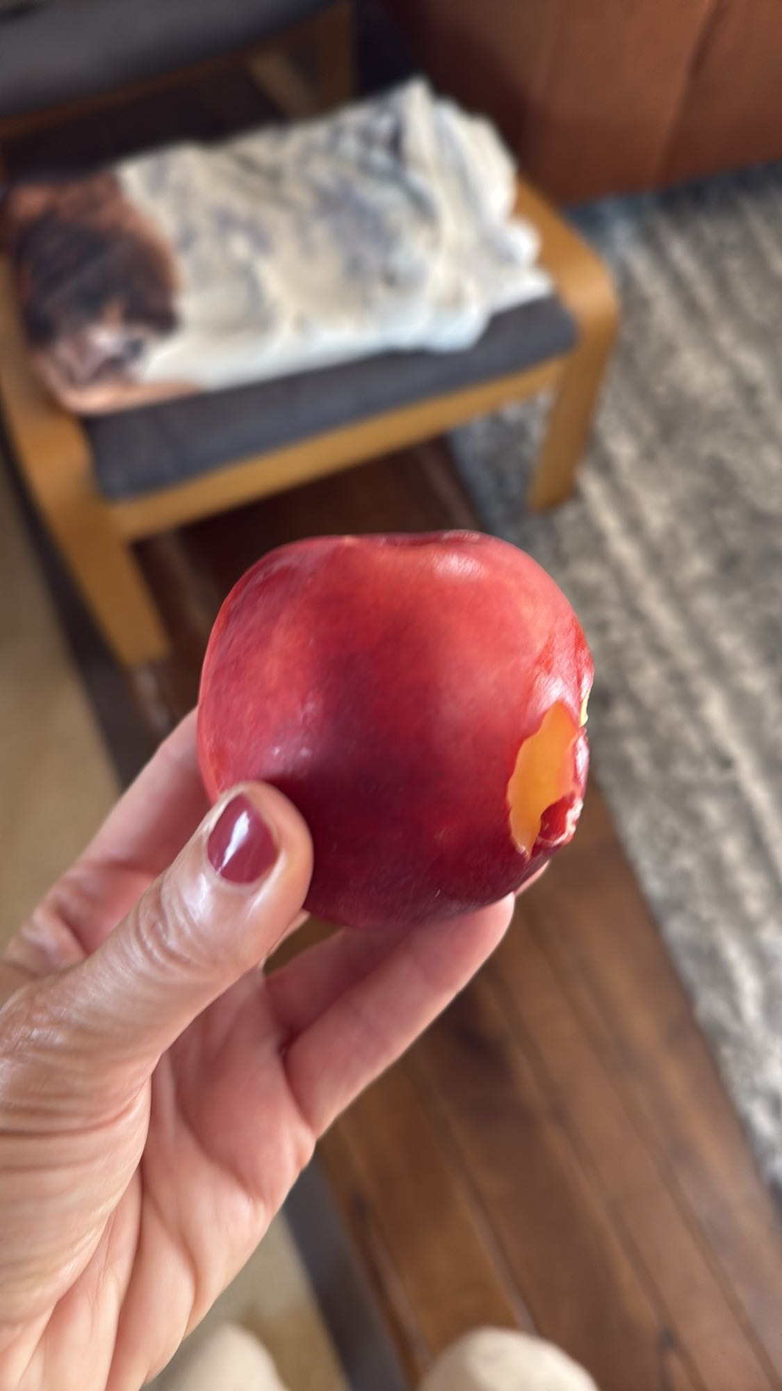 nectarine snack