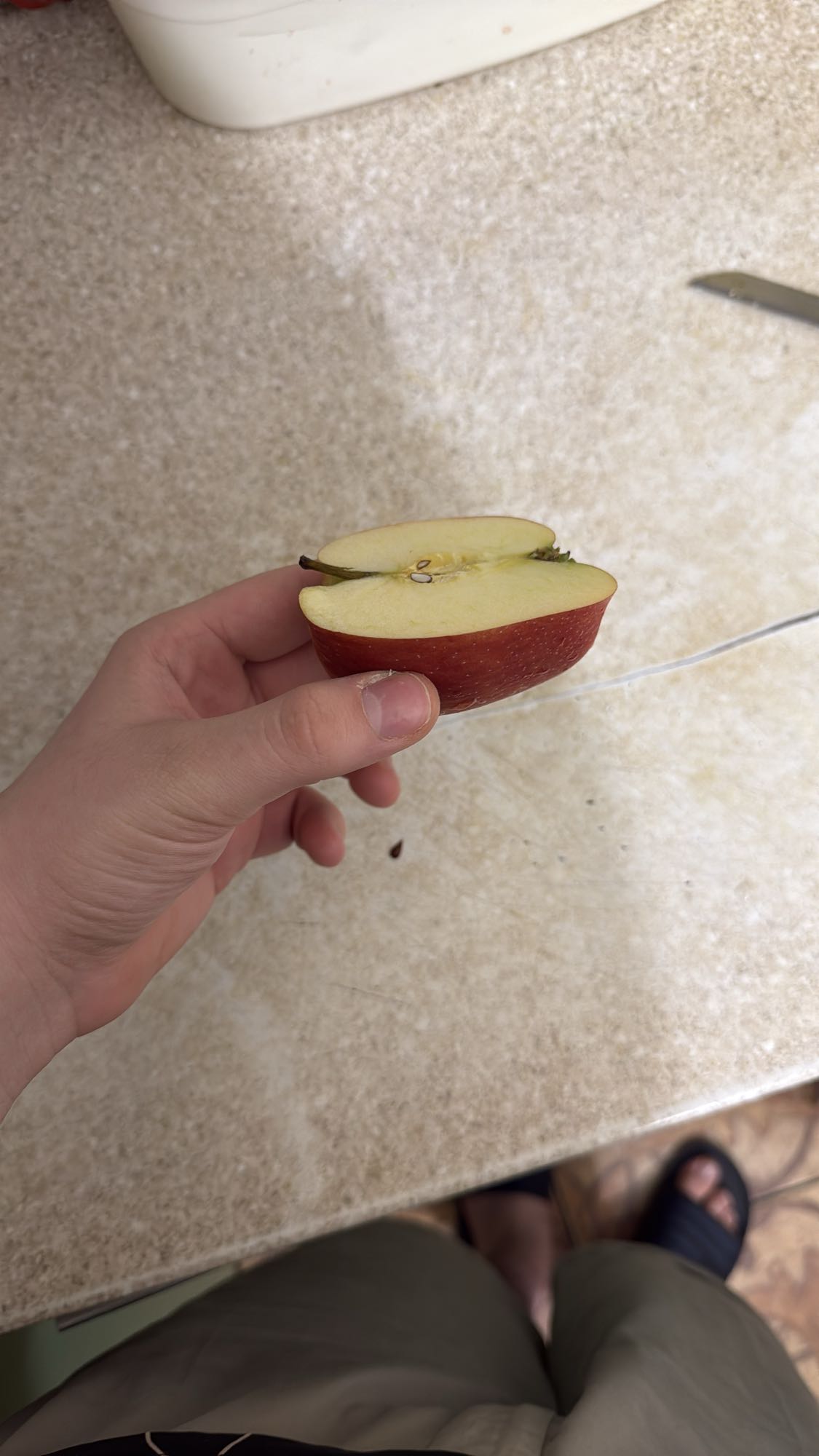 Половинка яблока