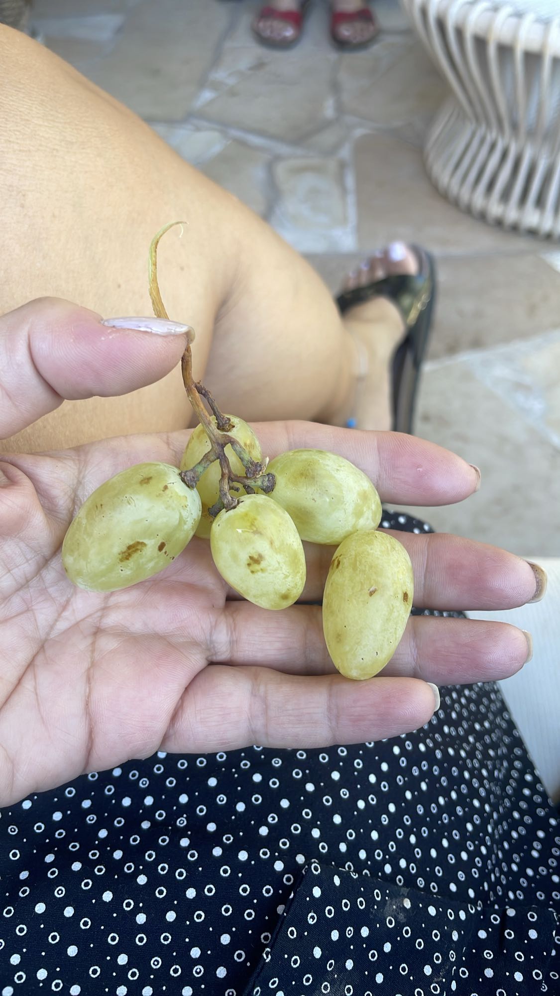 Green grapes snack
