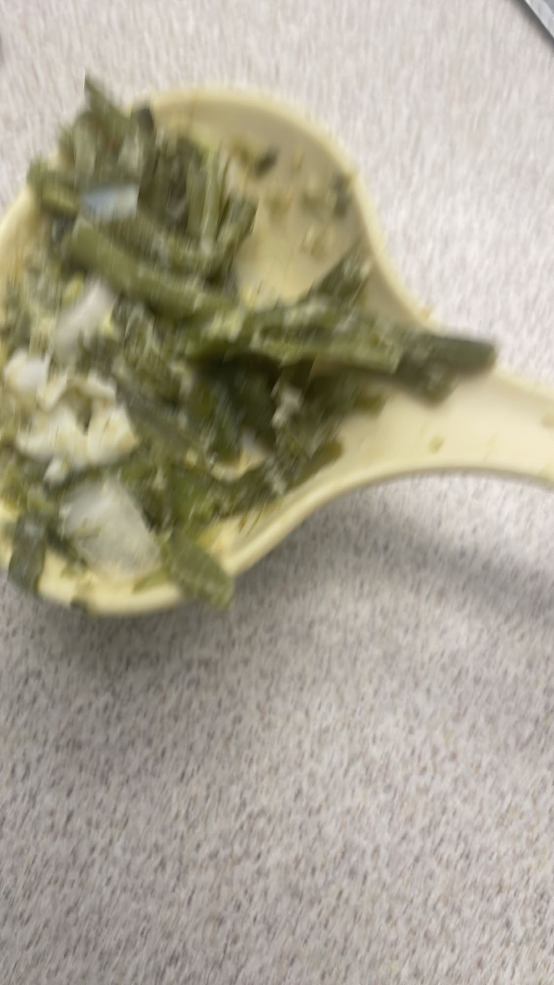 haricots verts cuits