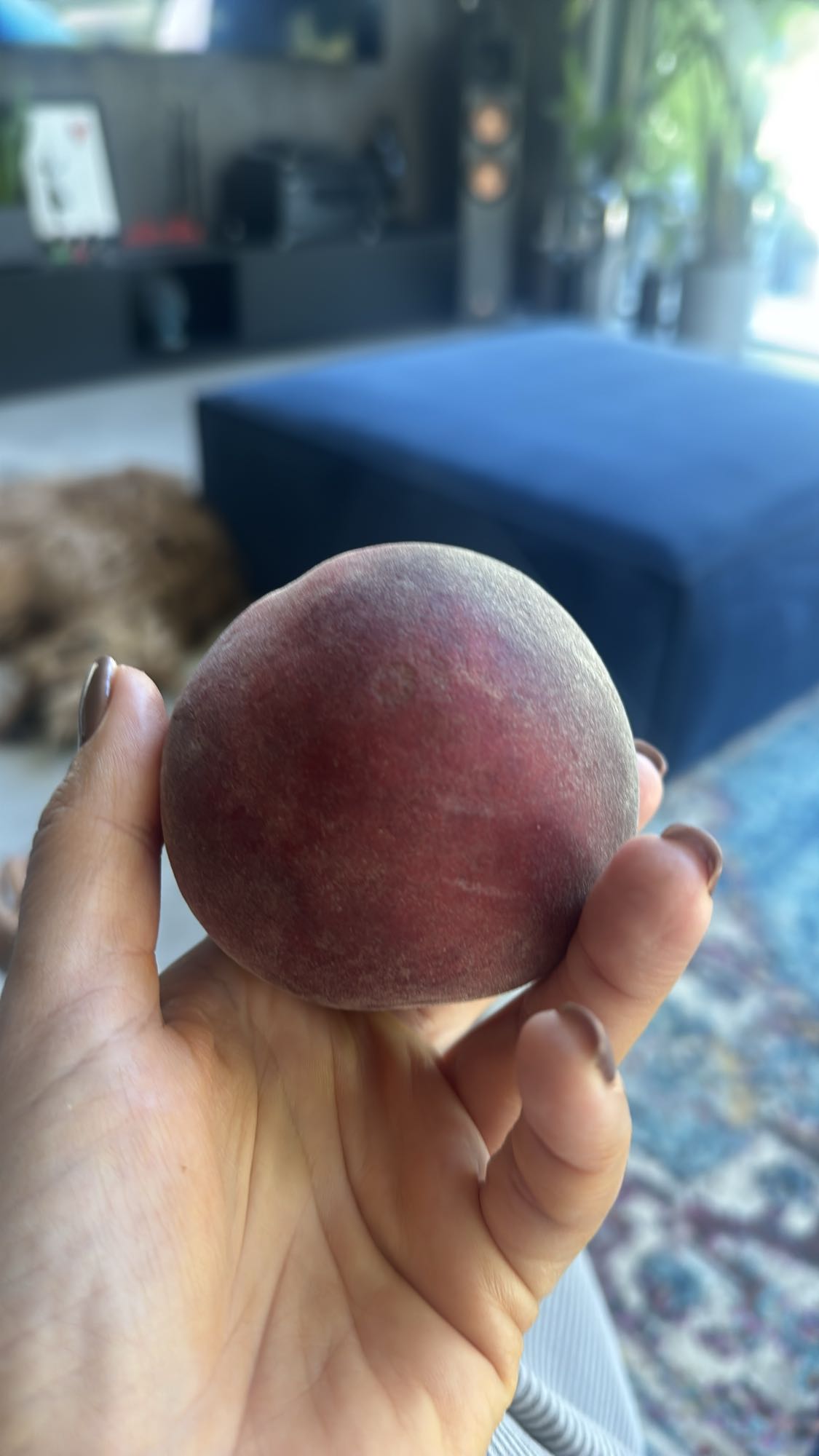 Świeża brzoskwinia