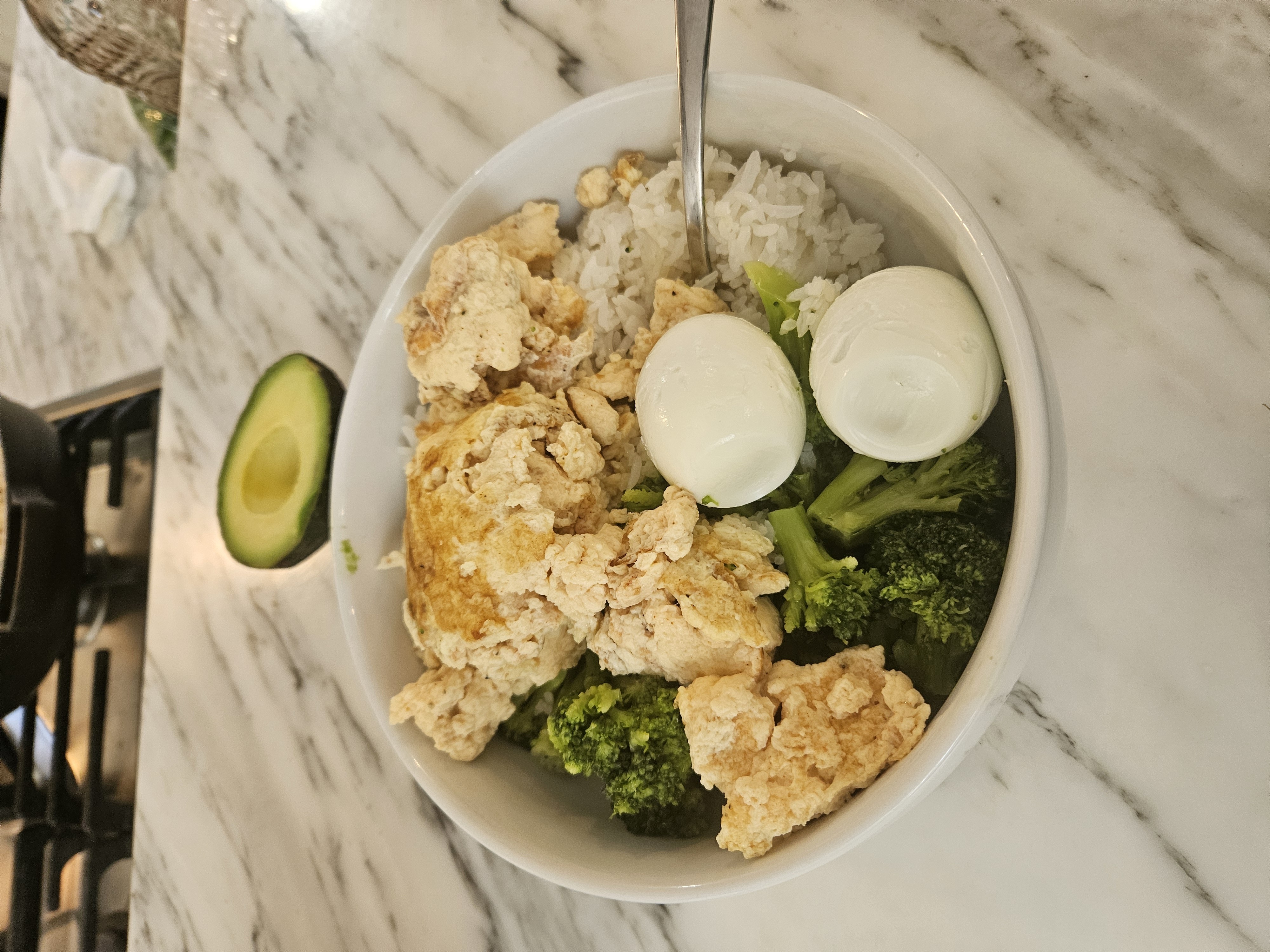Protein Rice Bowl