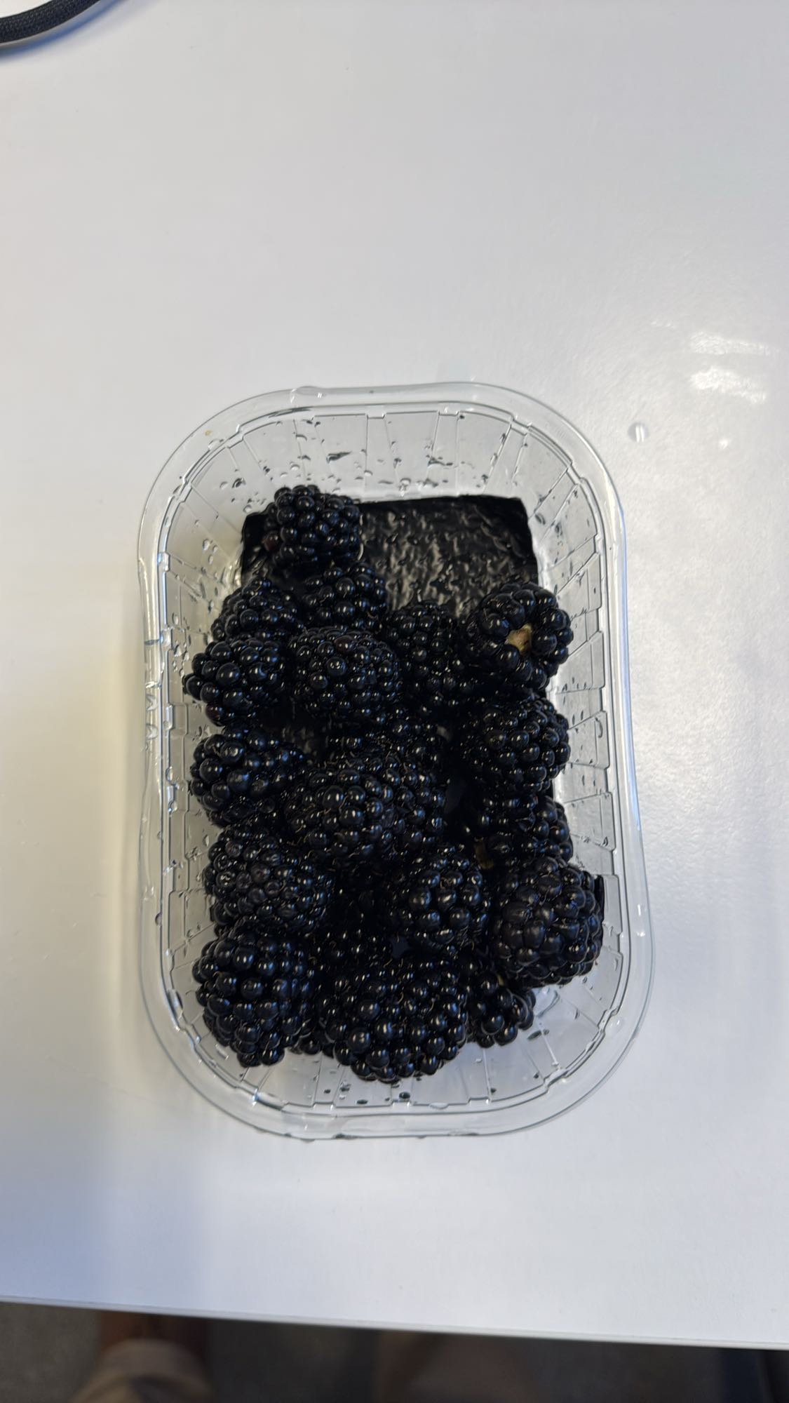 Fresh Blackberries