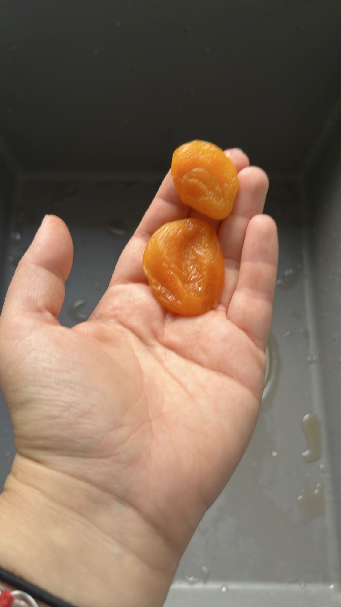 Dried Apricots Snack