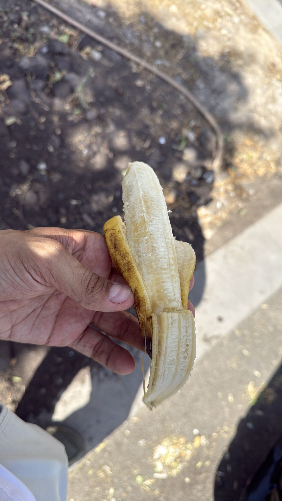 Banana snack