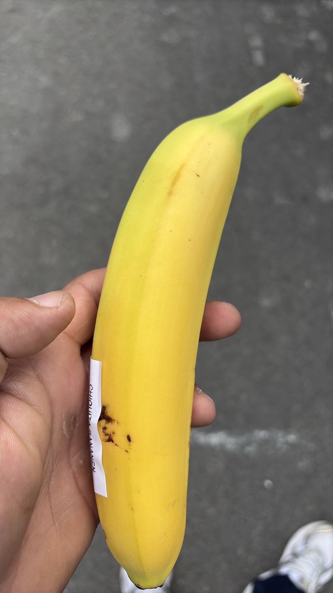 Banaan