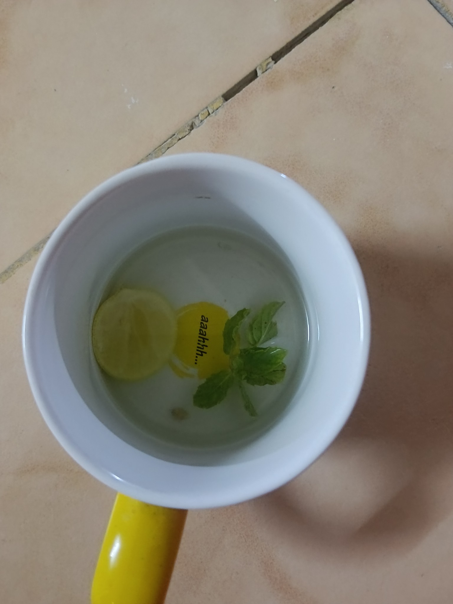 Lemon Mint Water