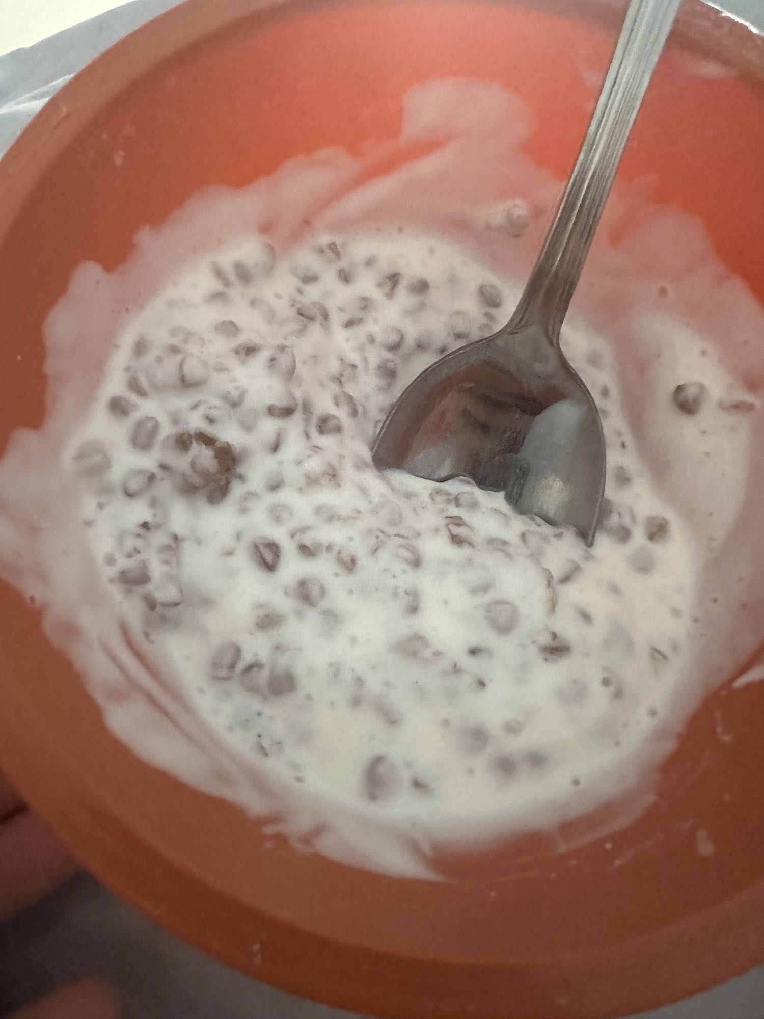 yogur con chispas de chocolate