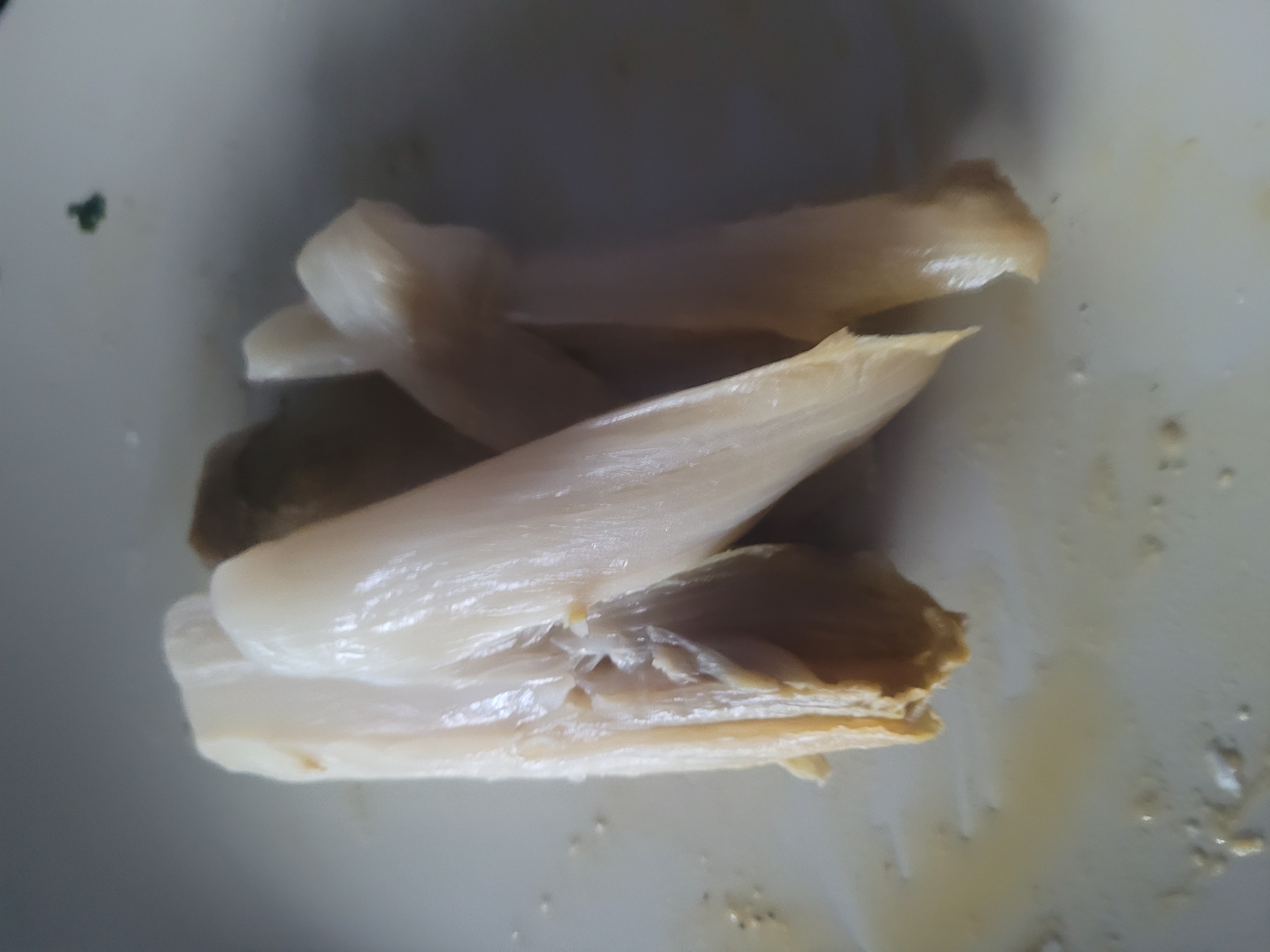 Cœur de palmier nature