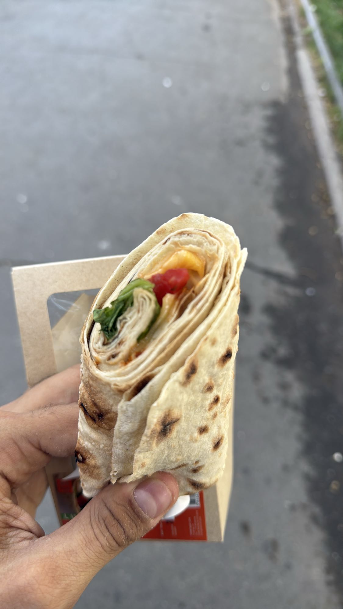 Chicken Vegetable Wrap