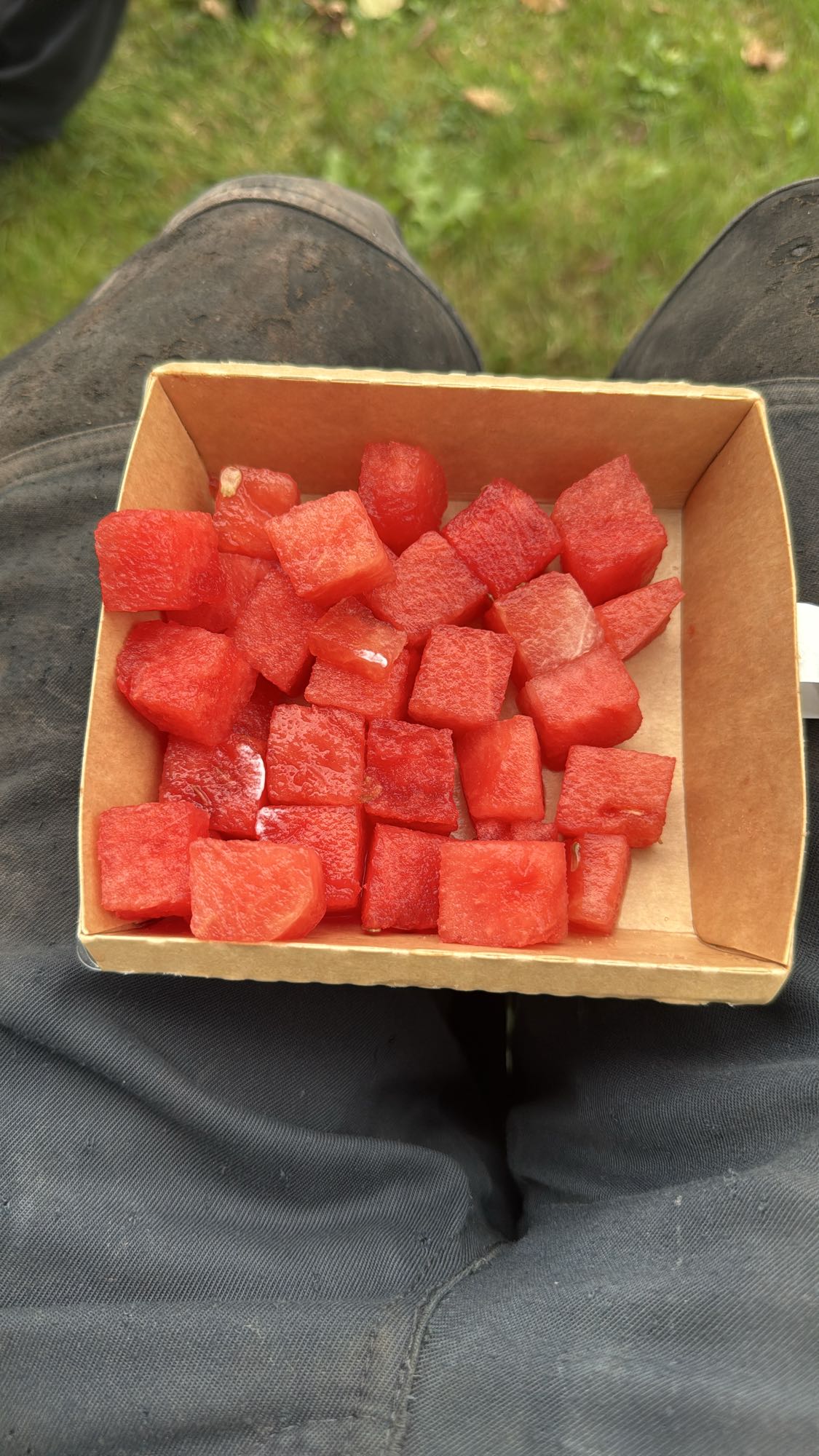 Watermelon Cubes