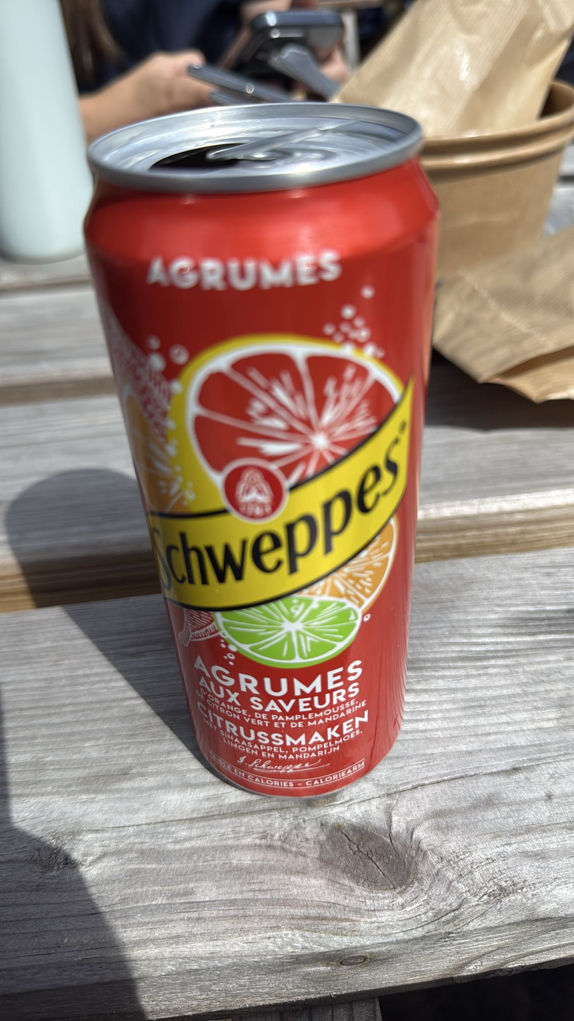 Citrus Schweppes Can