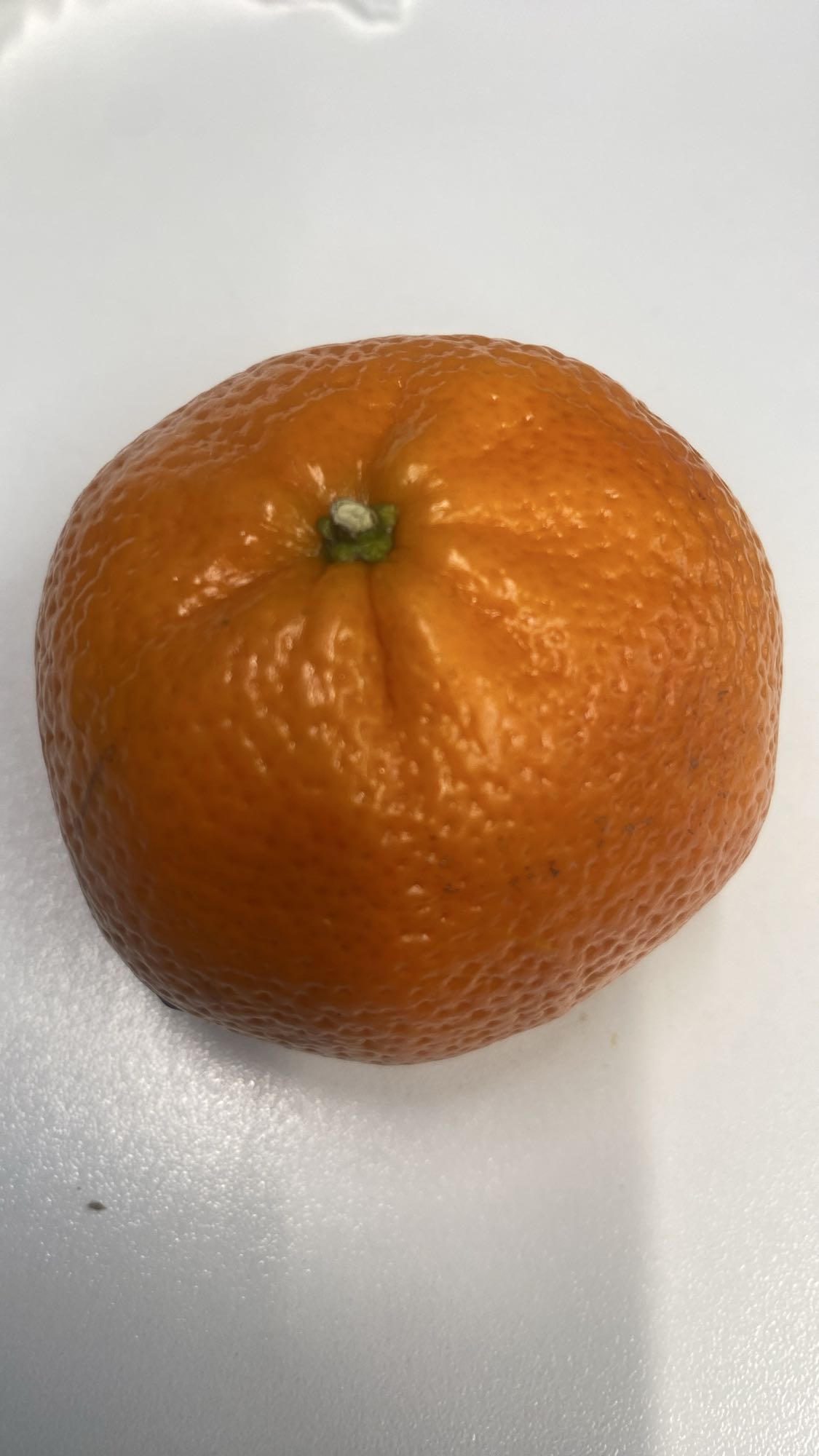 Mandarin Orange