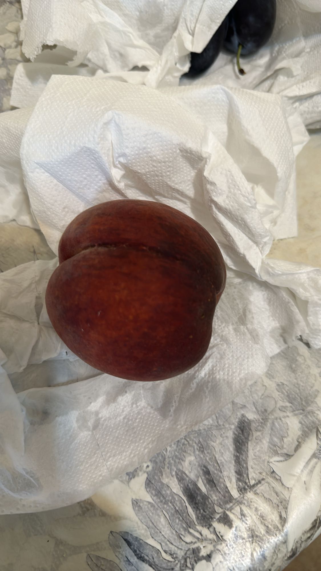 Peach and Plum Snack