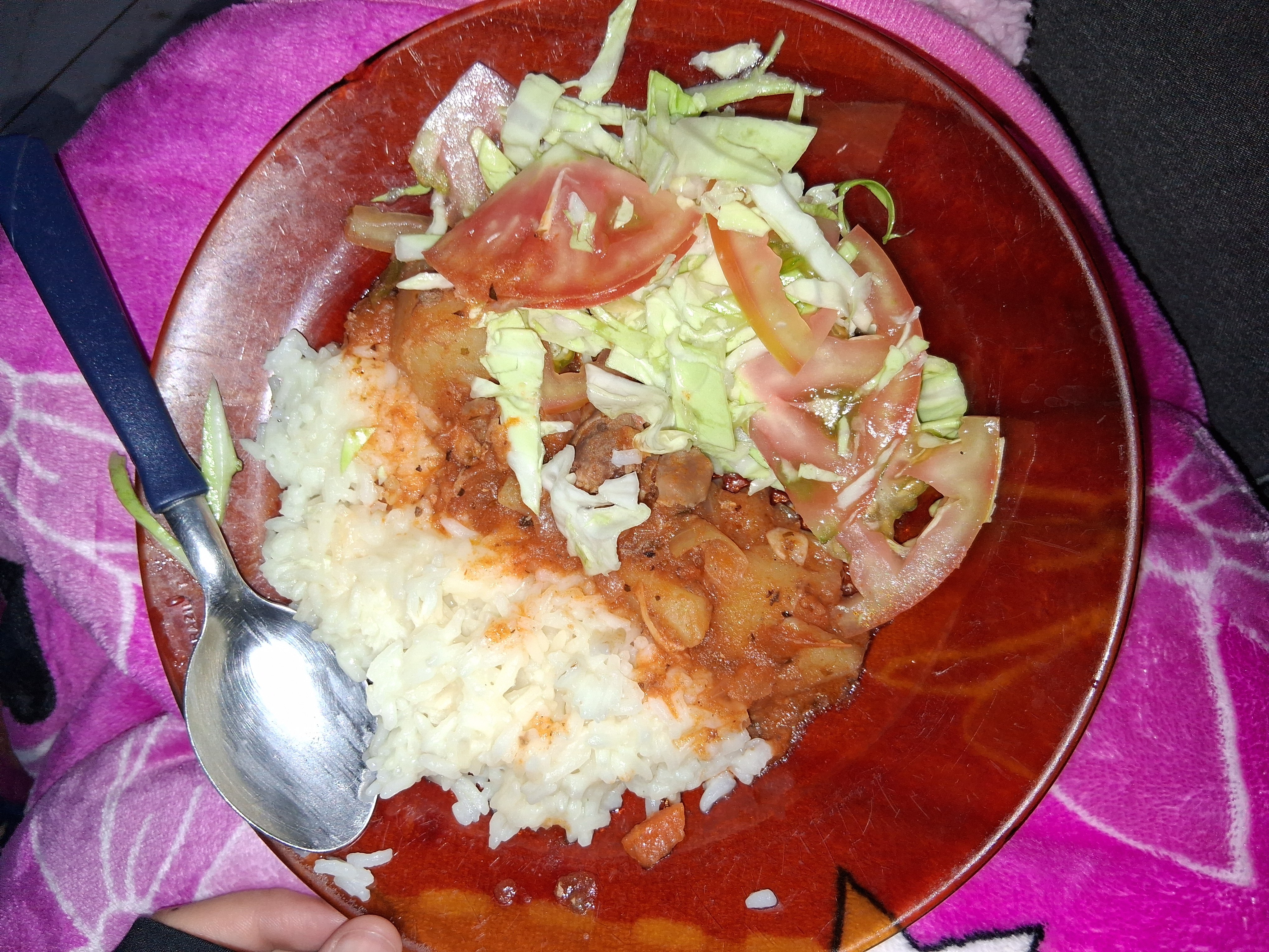 Arroz con guiso y ensalada