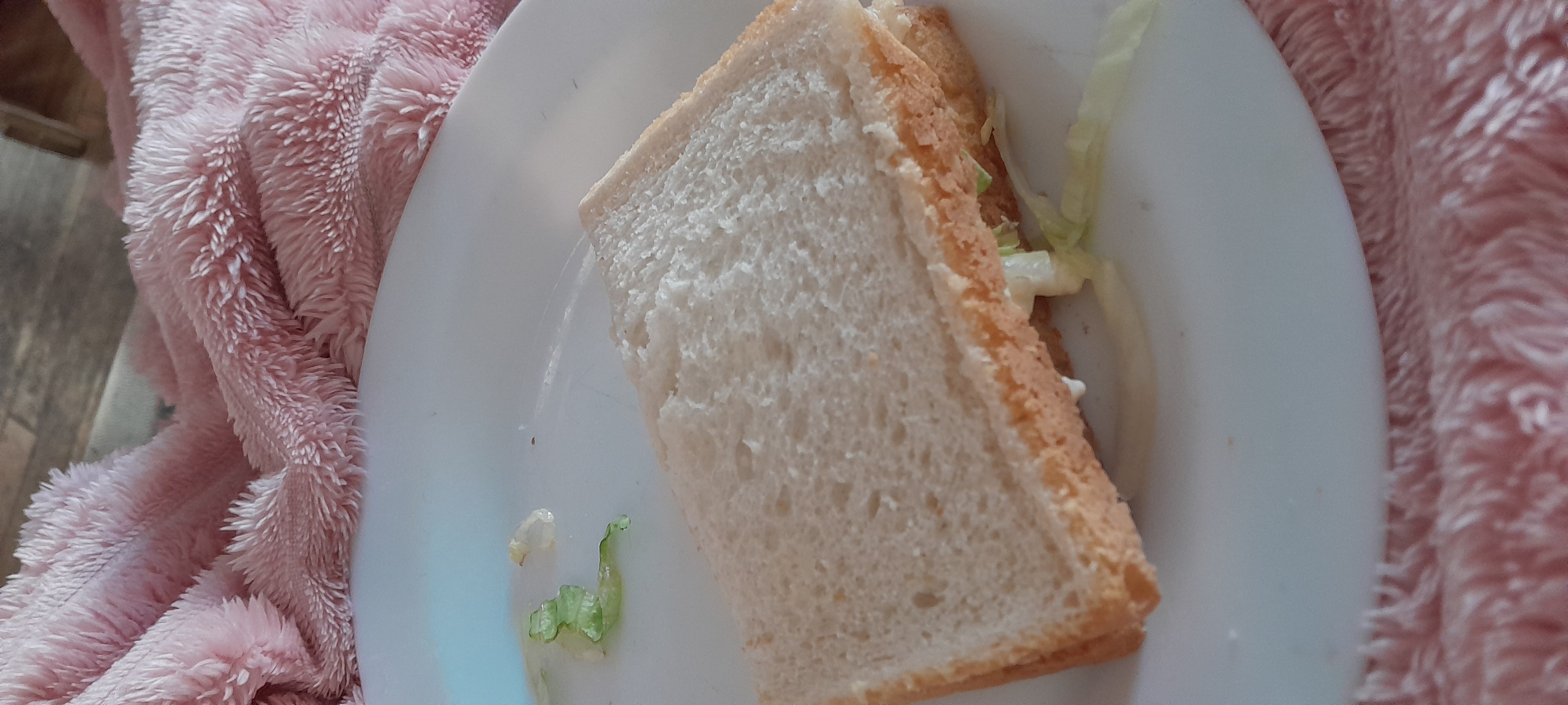 Simple sandwich