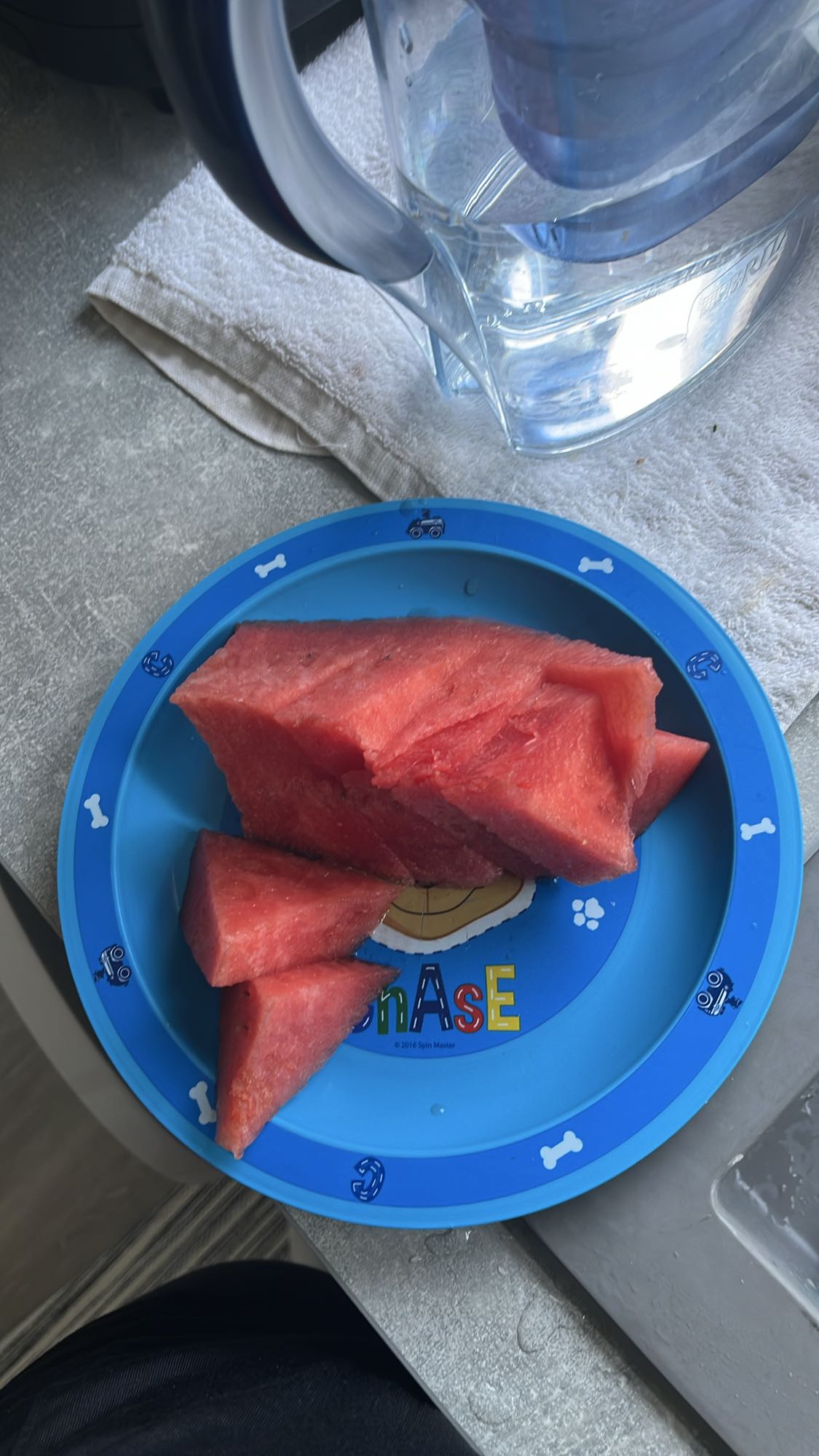 Watermelon slices