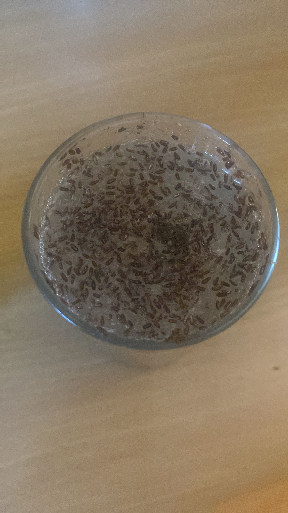 napój z siemieniem lnianym