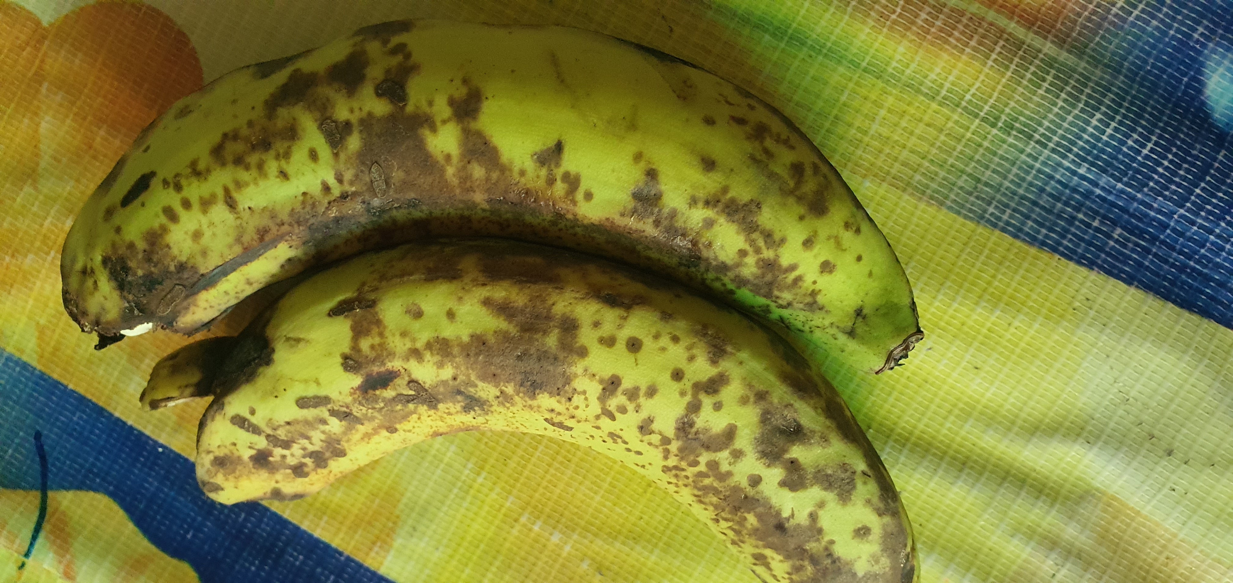 Ripe plantains