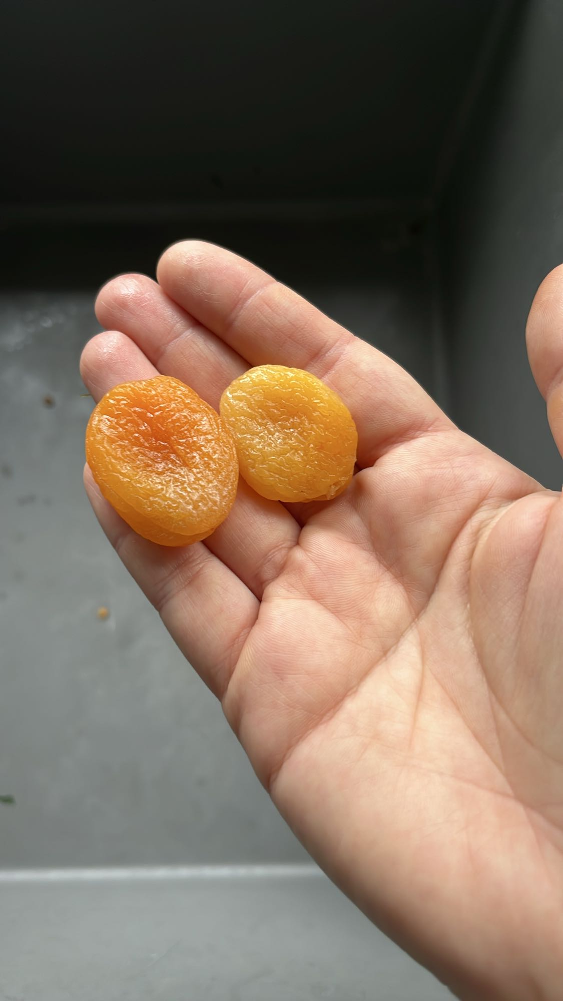 Dried Apricots Snack