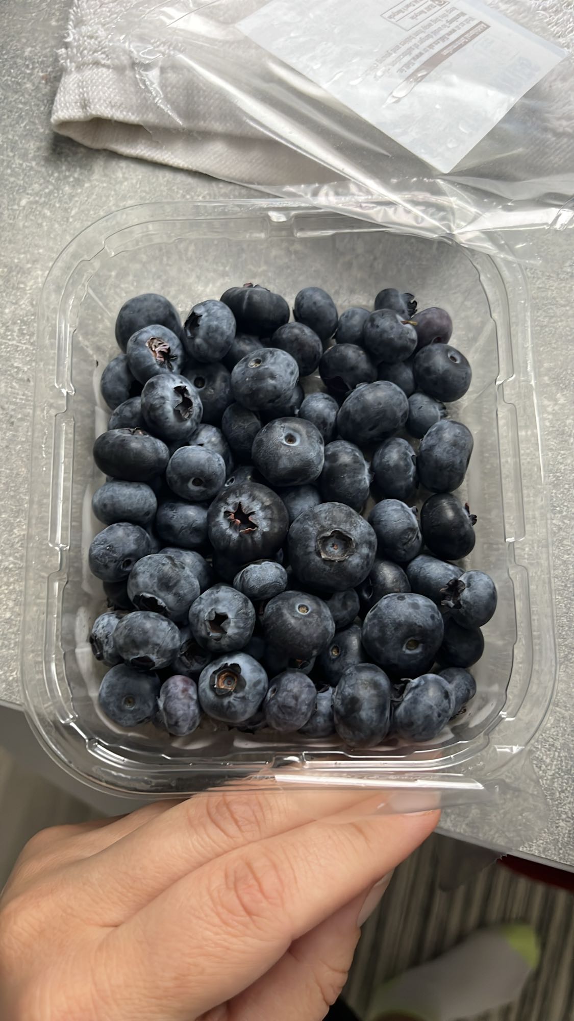 Fresh Blueberries