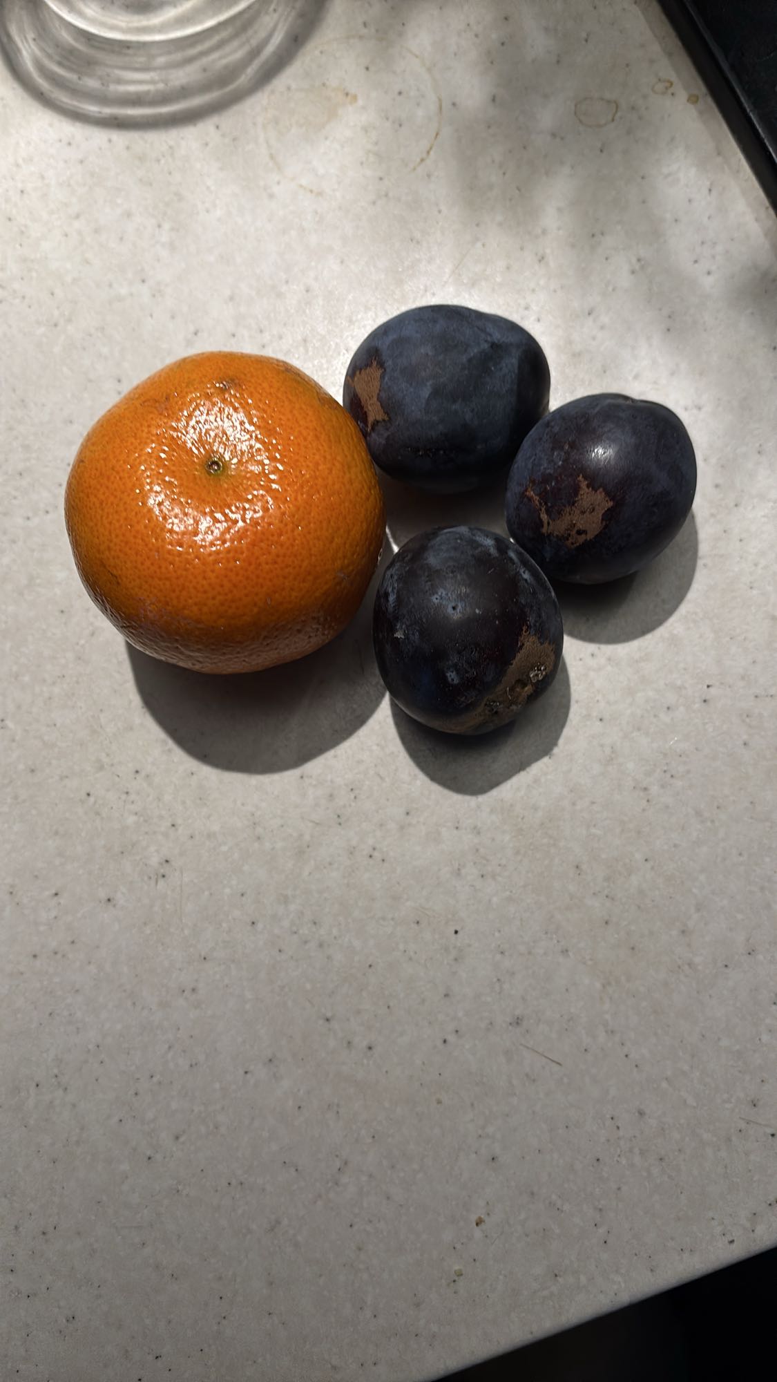 Klementin og plommer