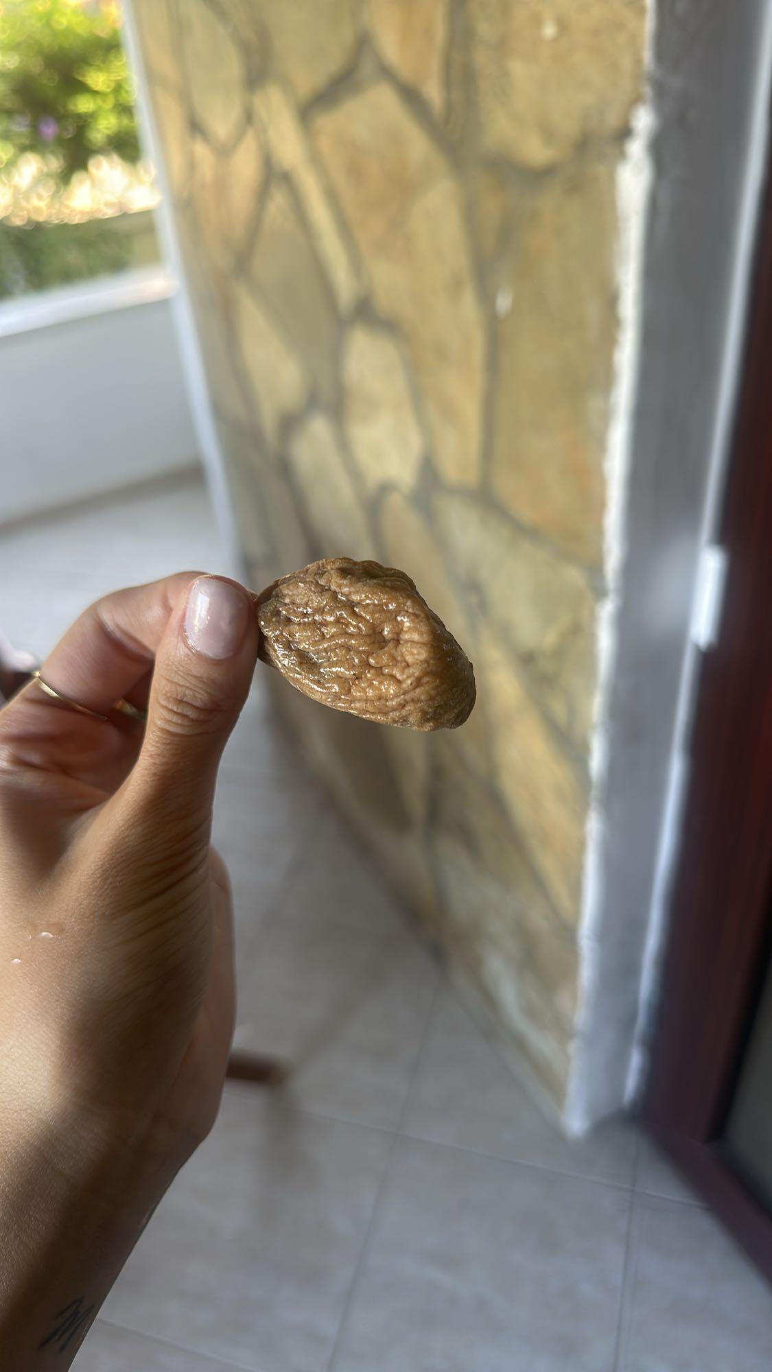Dried Fig Snack