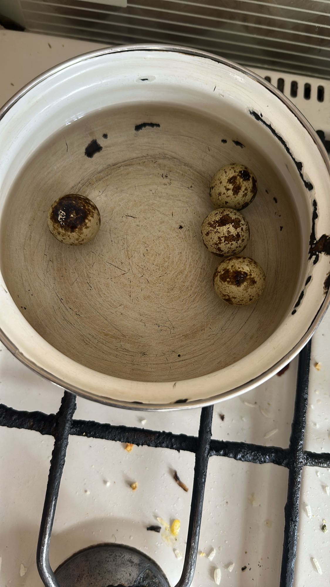 Huevos de codorniz cocidos