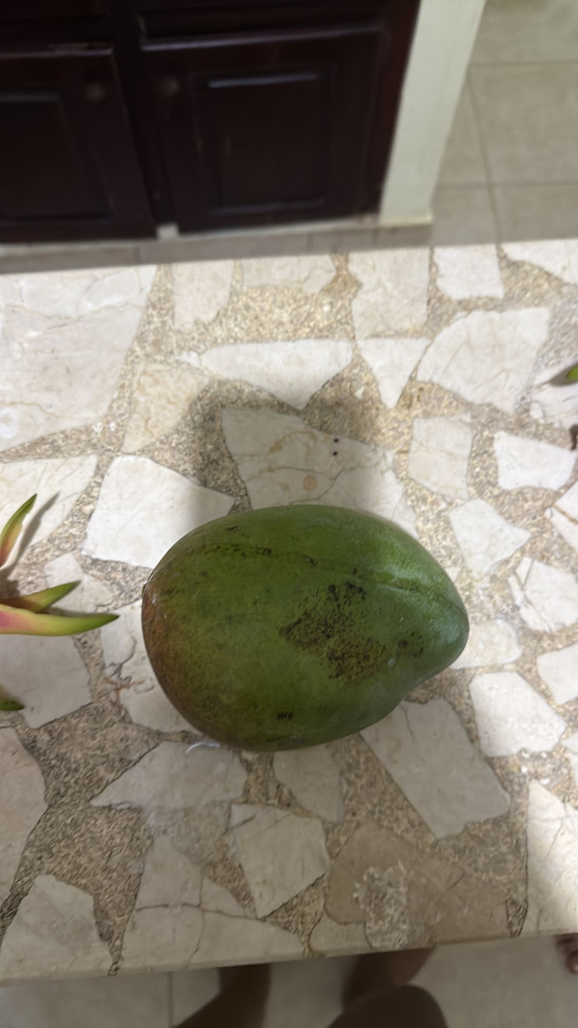 Mango entero