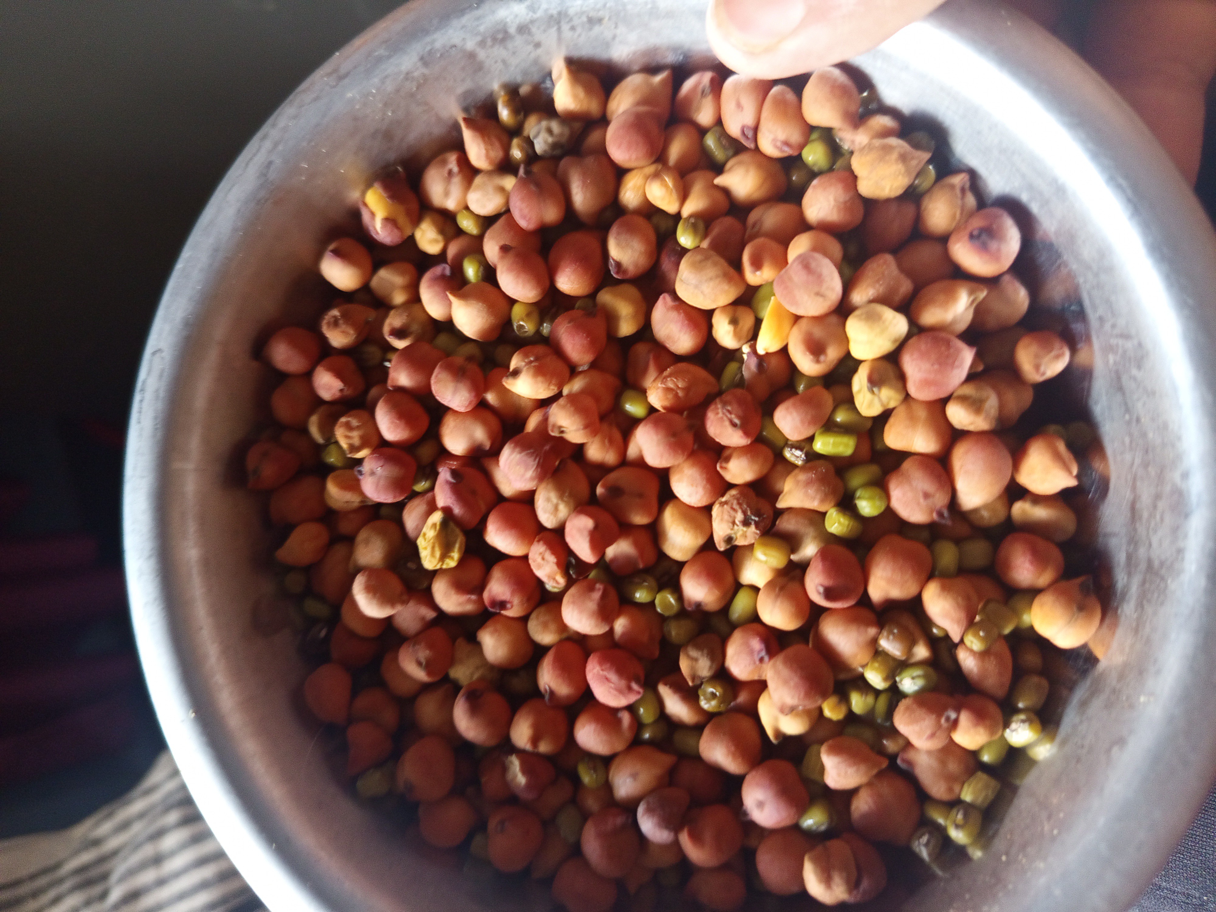 Mixed Sprouted Pulses