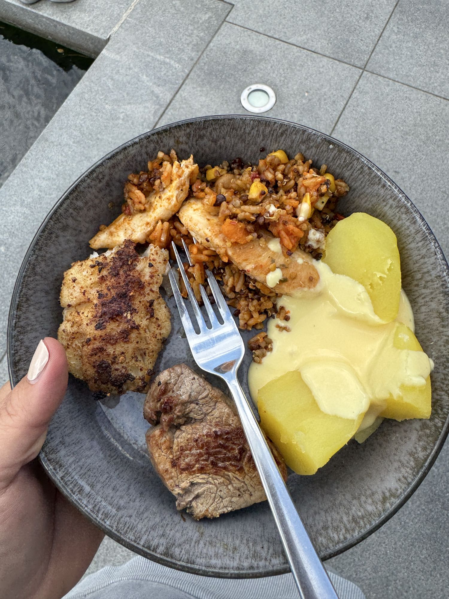 Gemischter Teller mit Zander, Putenbrust und Sauce Hollandaise light