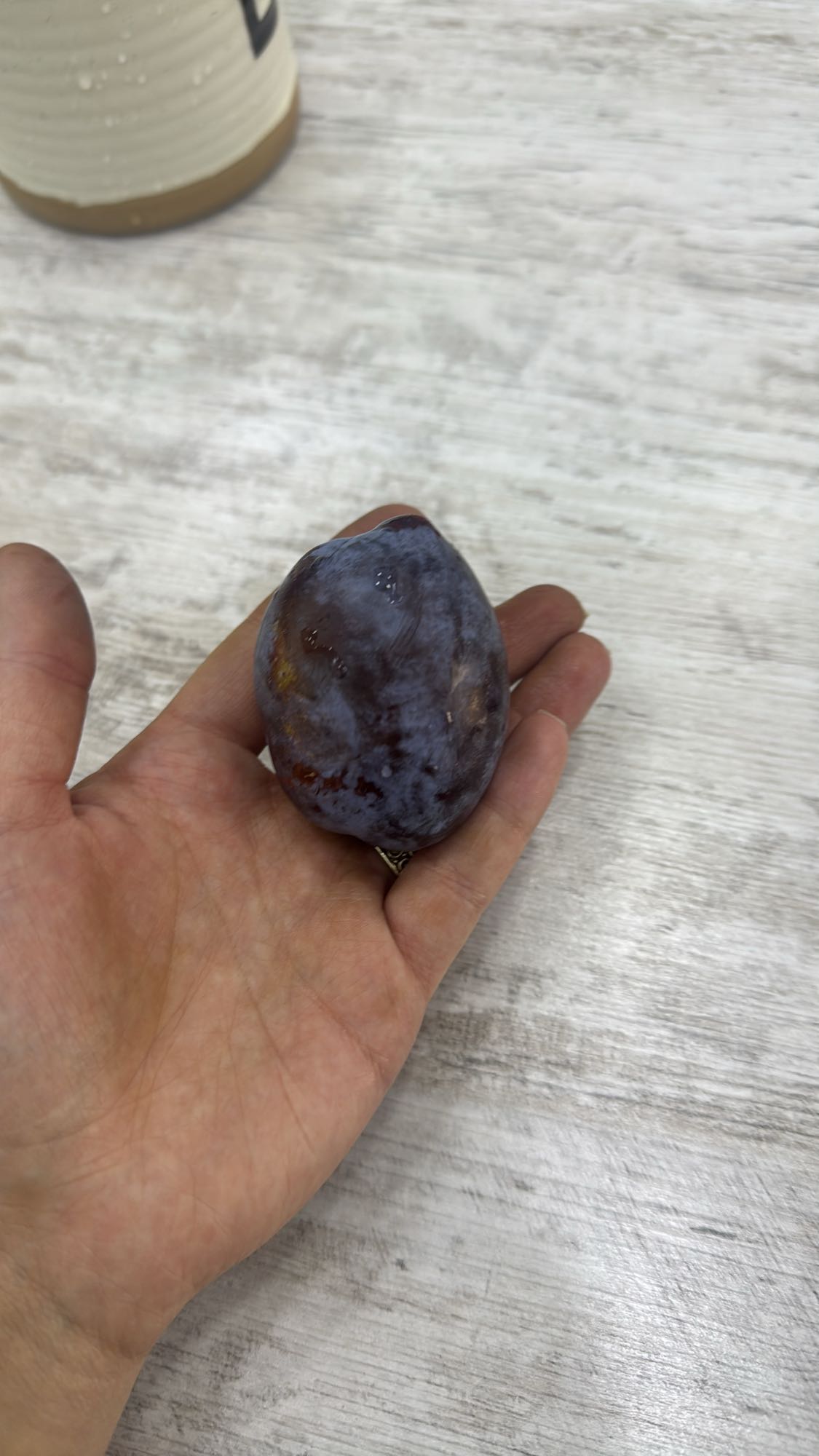 слива свежая