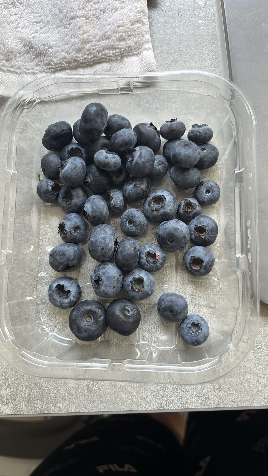 Fresh Blueberries